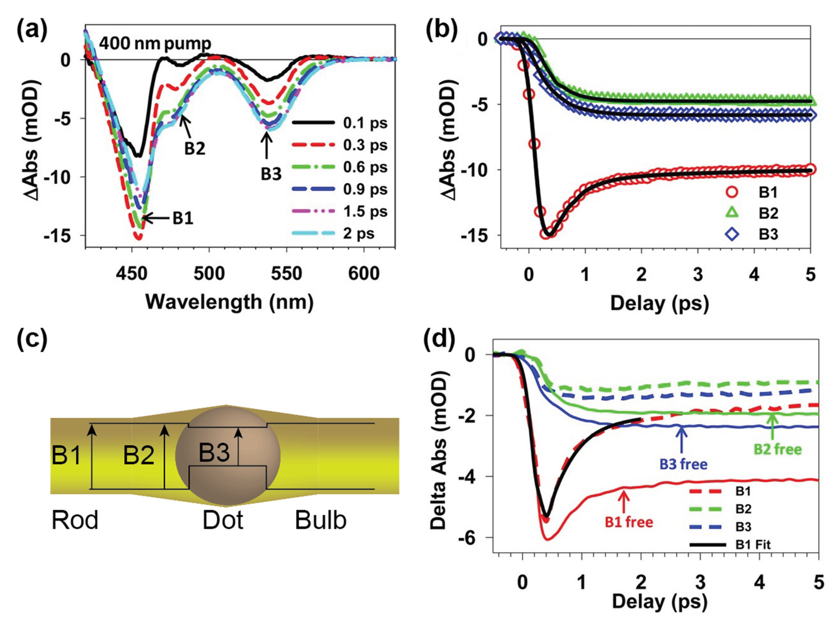 Nanomaterials 13 01579 g004