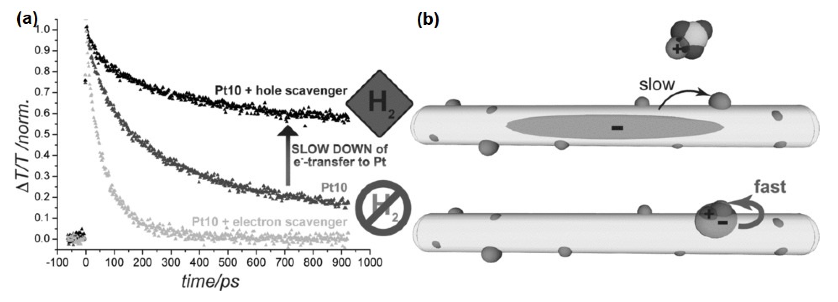 Nanomaterials 13 01579 g005
