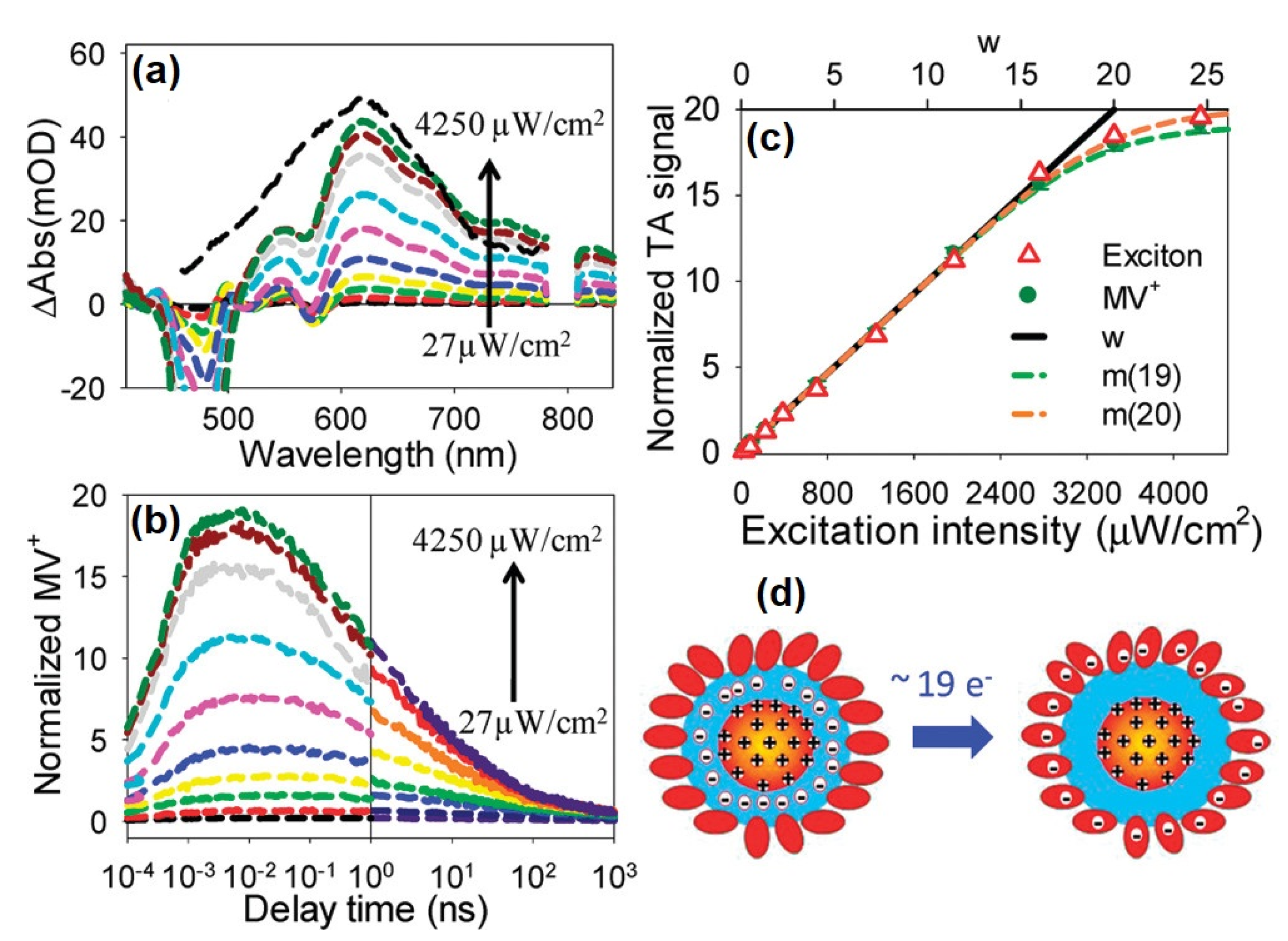 Nanomaterials 13 01579 g008