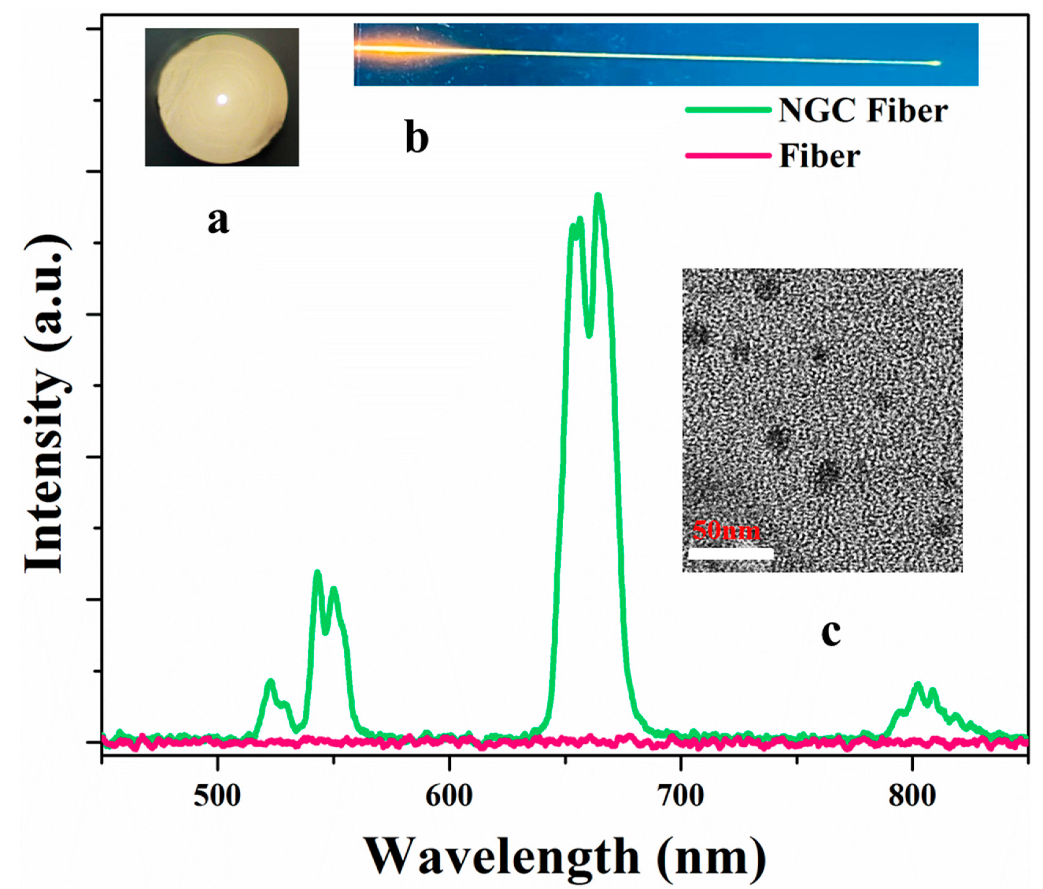 Nanomaterials 13 01586 g005
