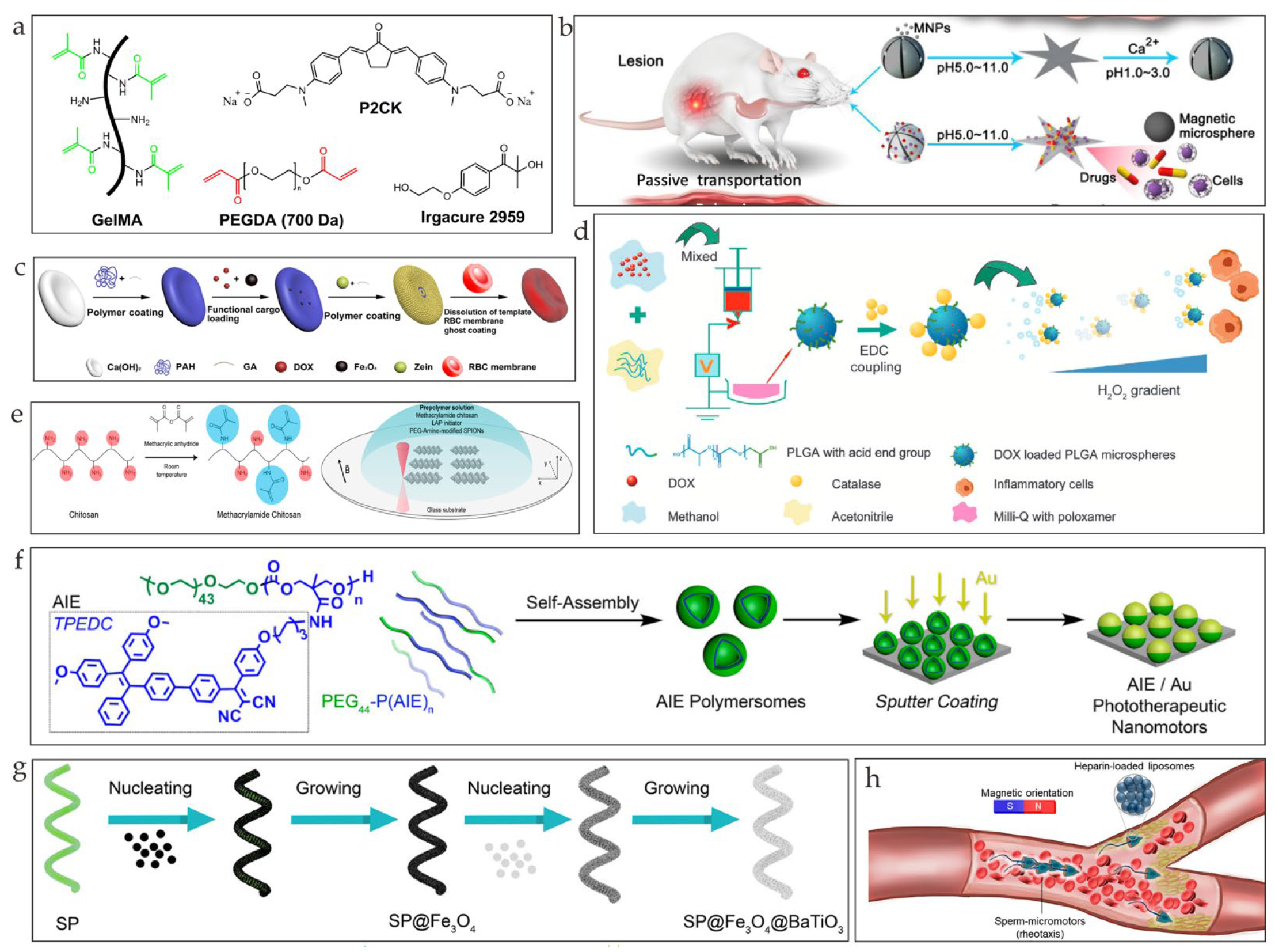 Nanomaterials 13 01590 g003