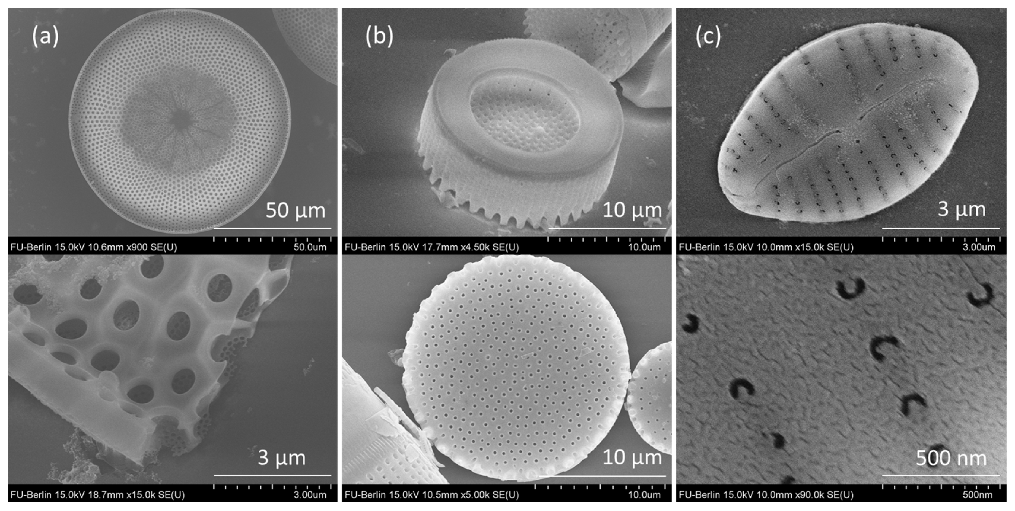 Nanomaterials 13 01594 g001 Nanomaterials 13 01594 g001