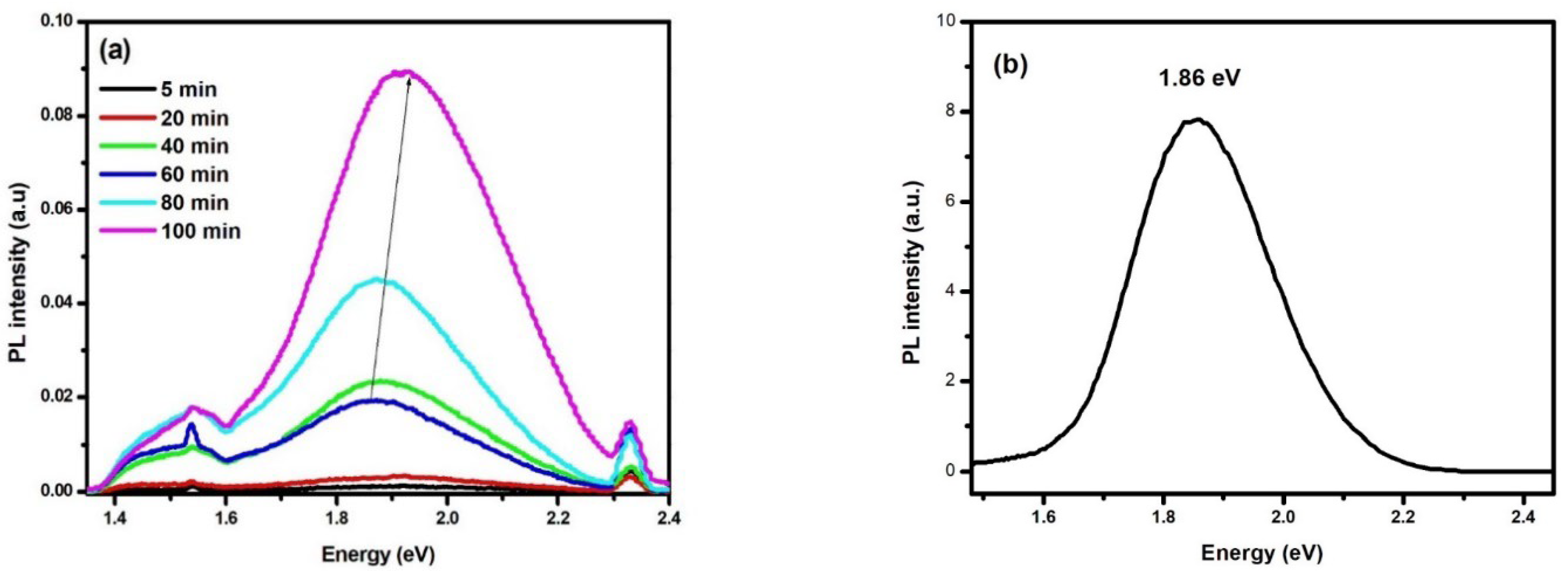 Nanomaterials 13 01602 g004
