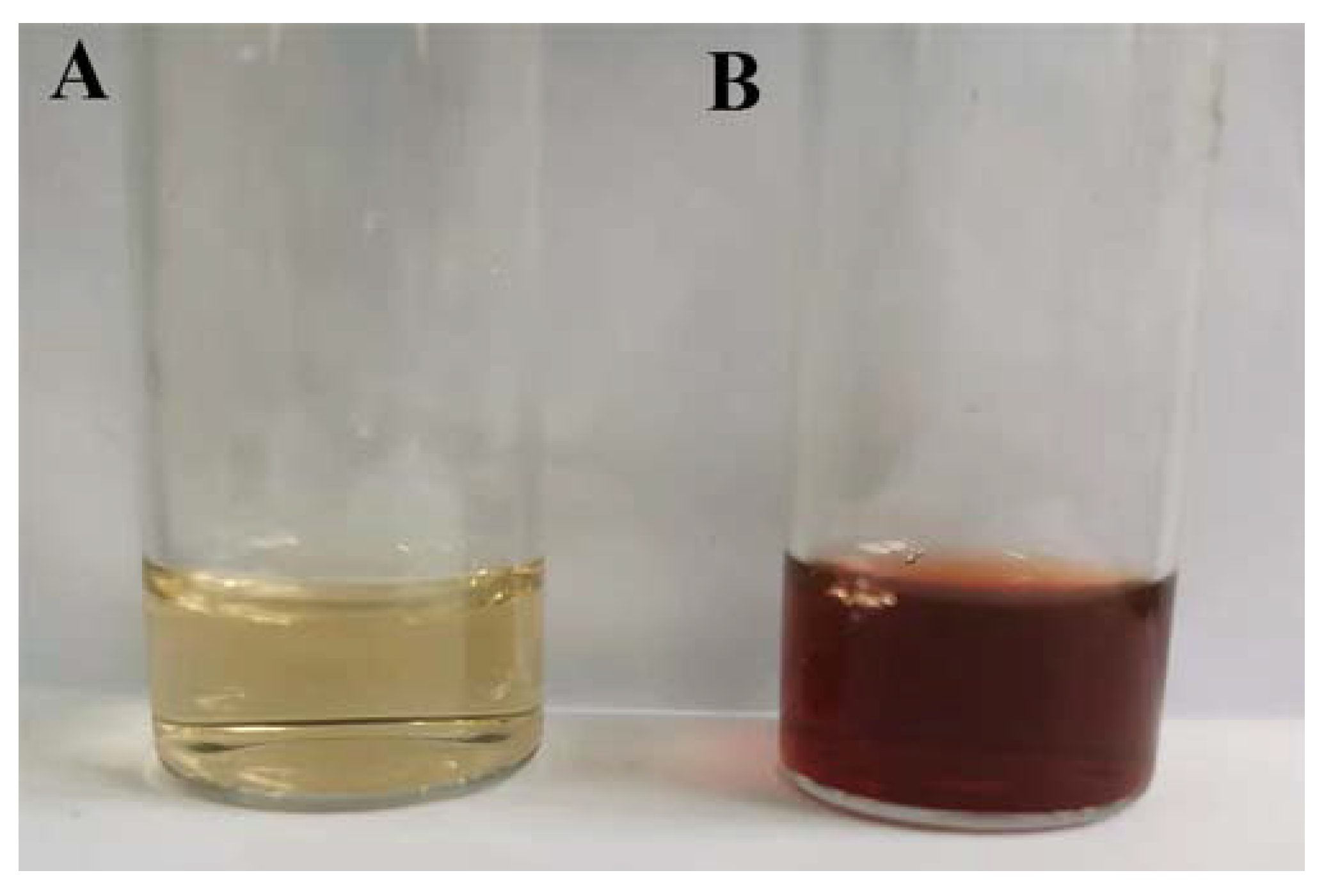 Nanomaterials 13 01637 g001 Nanomaterials 13 01637 g001