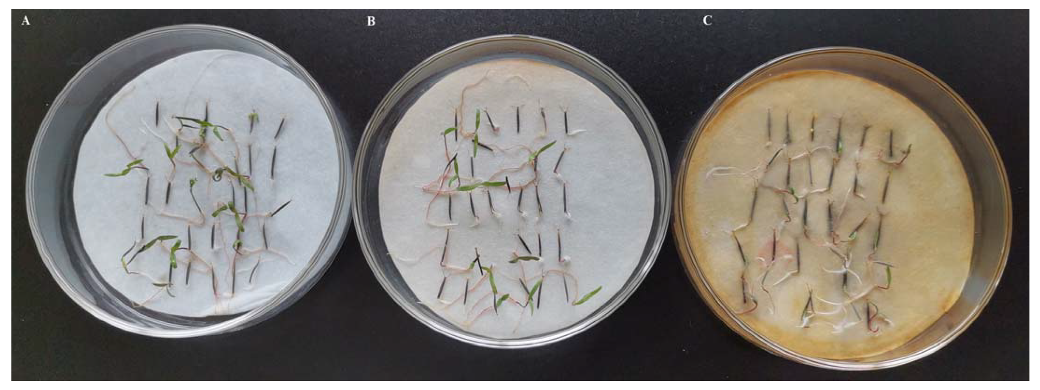 Nanomaterials 13 01637 g007 Nanomaterials 13 01637 g007