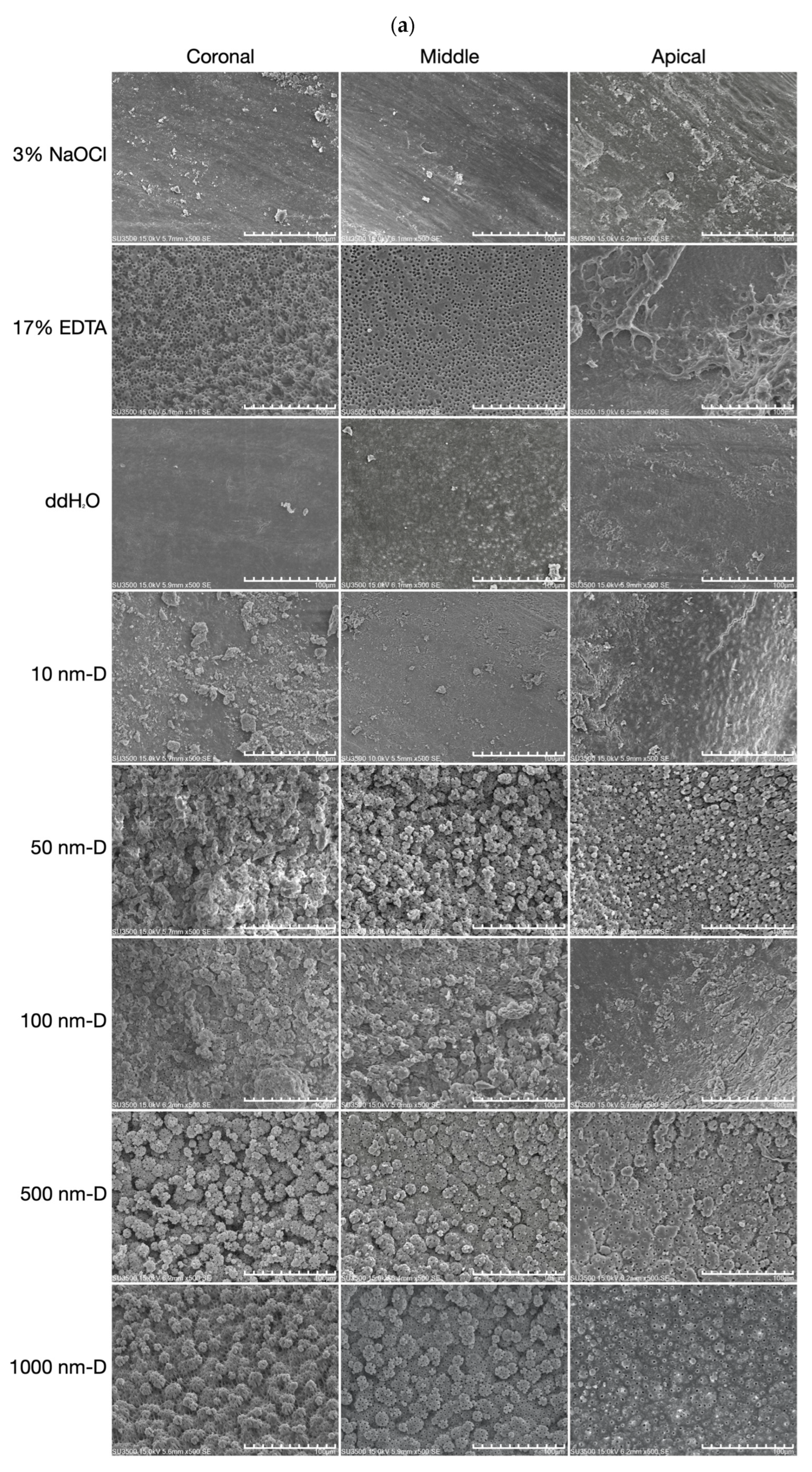 Nanomaterials 13 01646 g002a