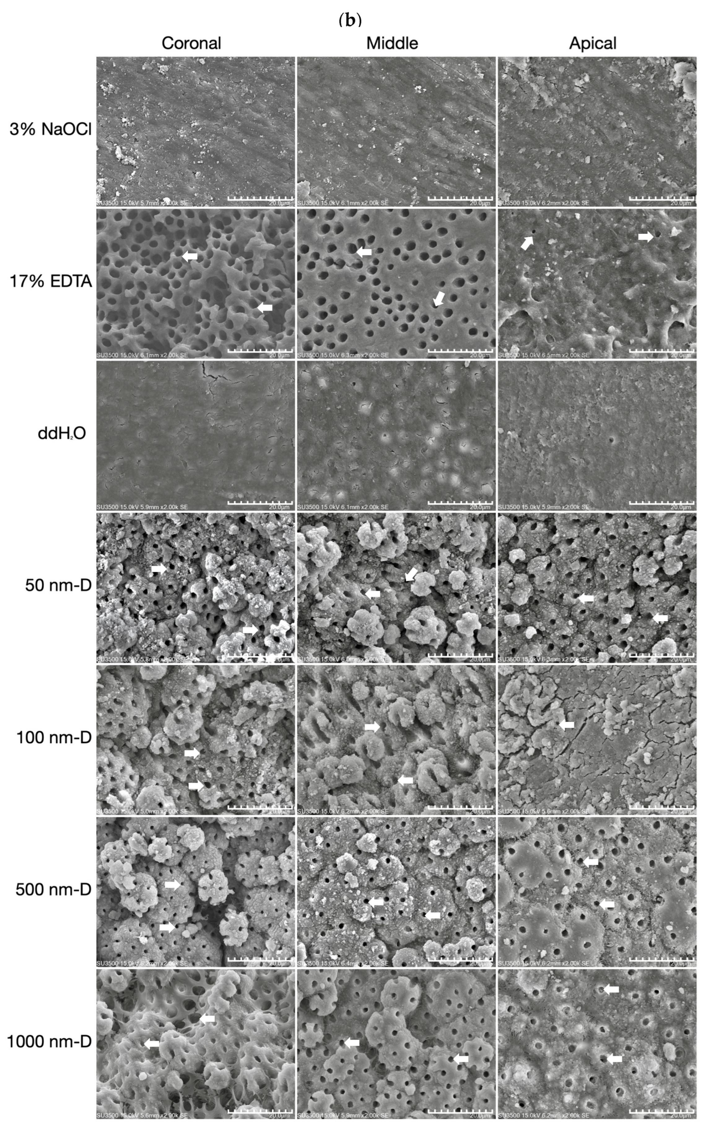 Nanomaterials 13 01646 g002b