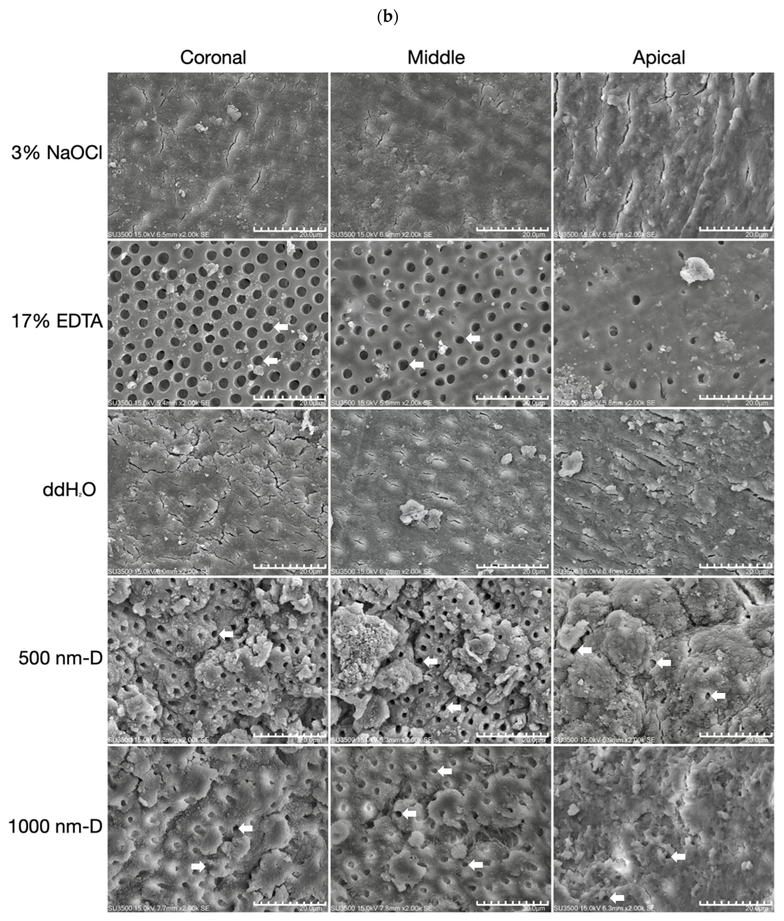 Nanomaterials 13 01646 g004b