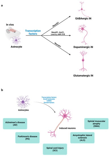 Nanomaterials | Free Full-Text | Gene Therapy Using Efficient Direct ...