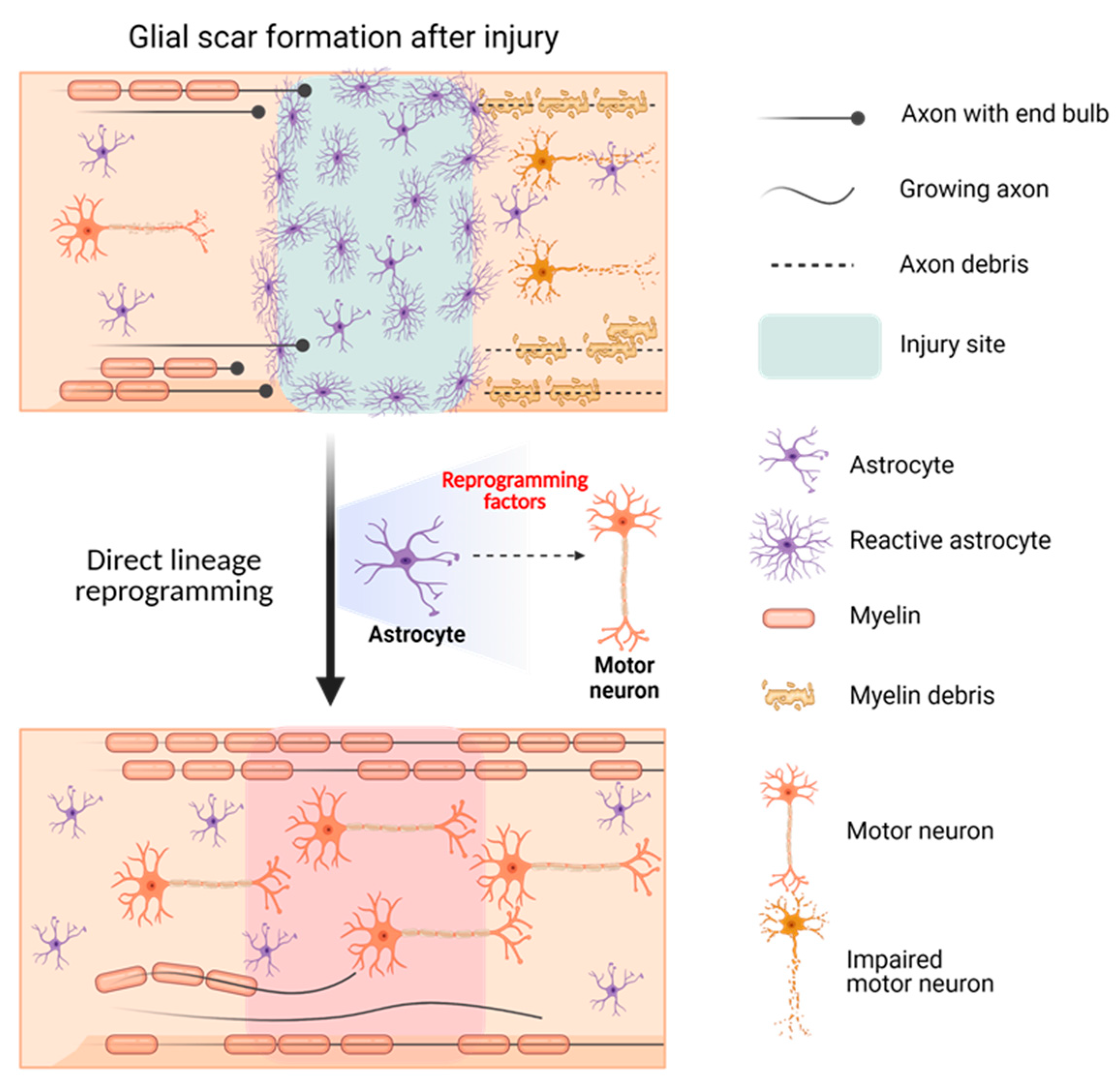 Nanomaterials 13 01680 g006