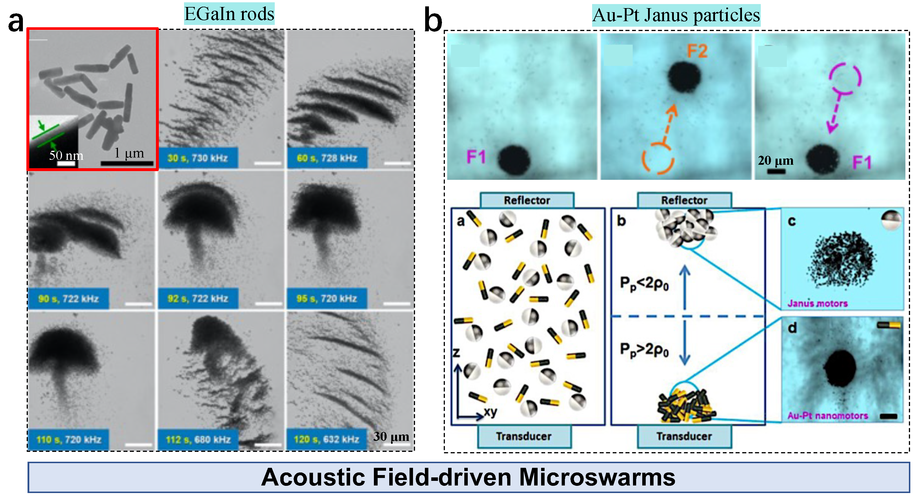 Nanomaterials 13 01687 g007 Nanomaterials 13 01687 g007