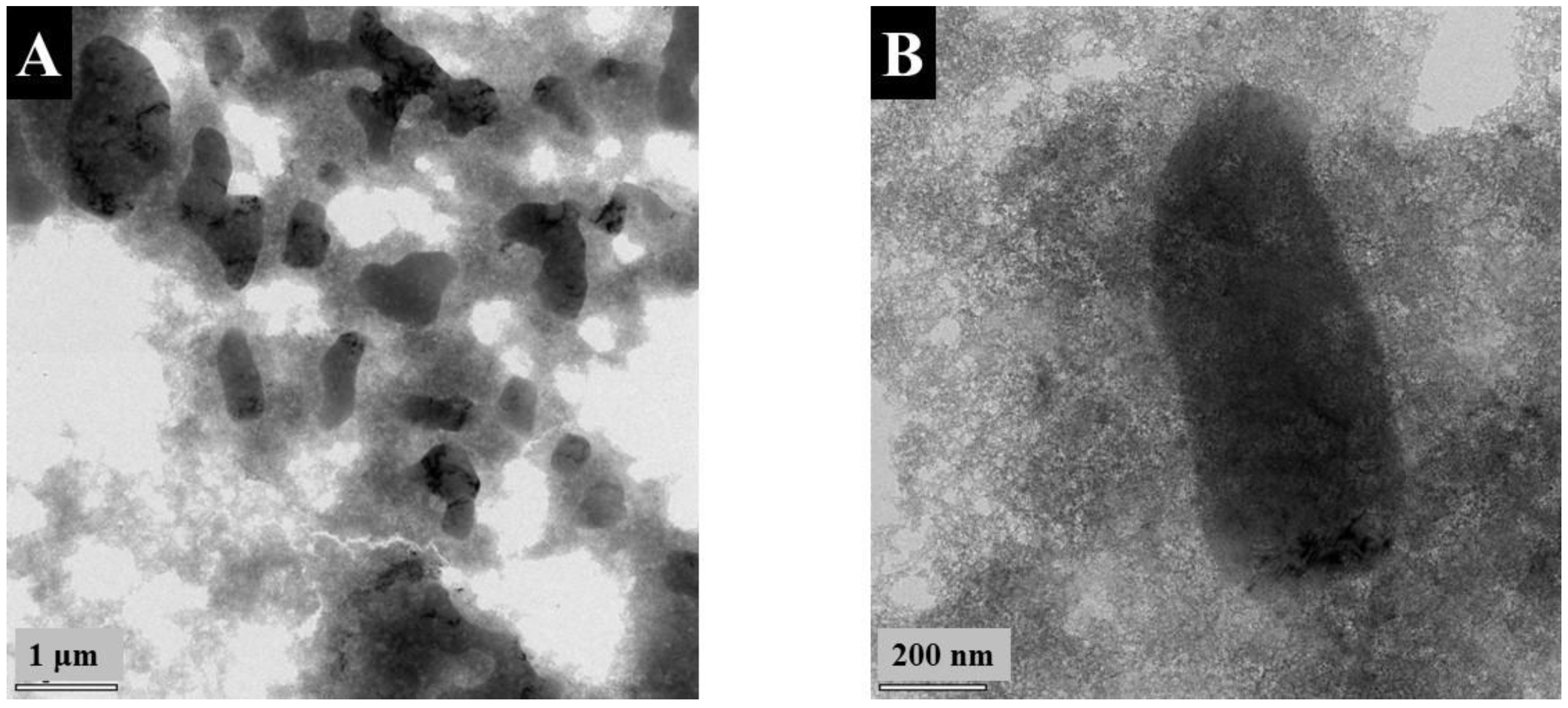Nanomaterials 13 01693 g001 Nanomaterials 13 01693 g001