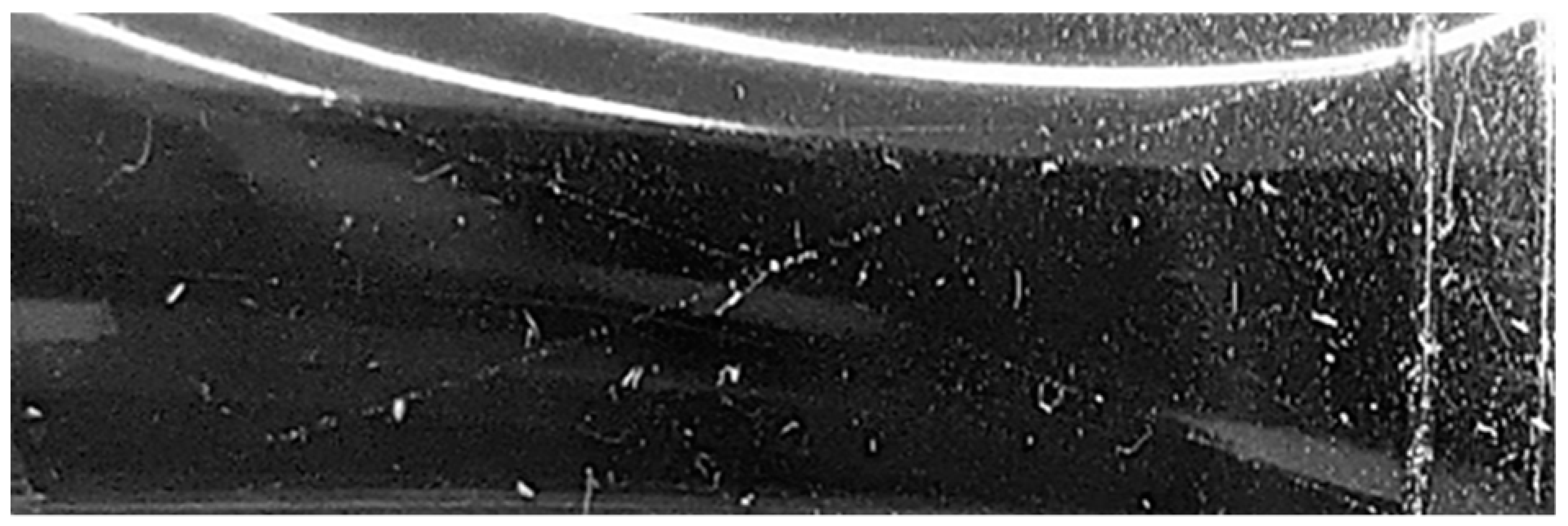 Nanomaterials 13 01699 i002 Nanomaterials 13 01699 i002