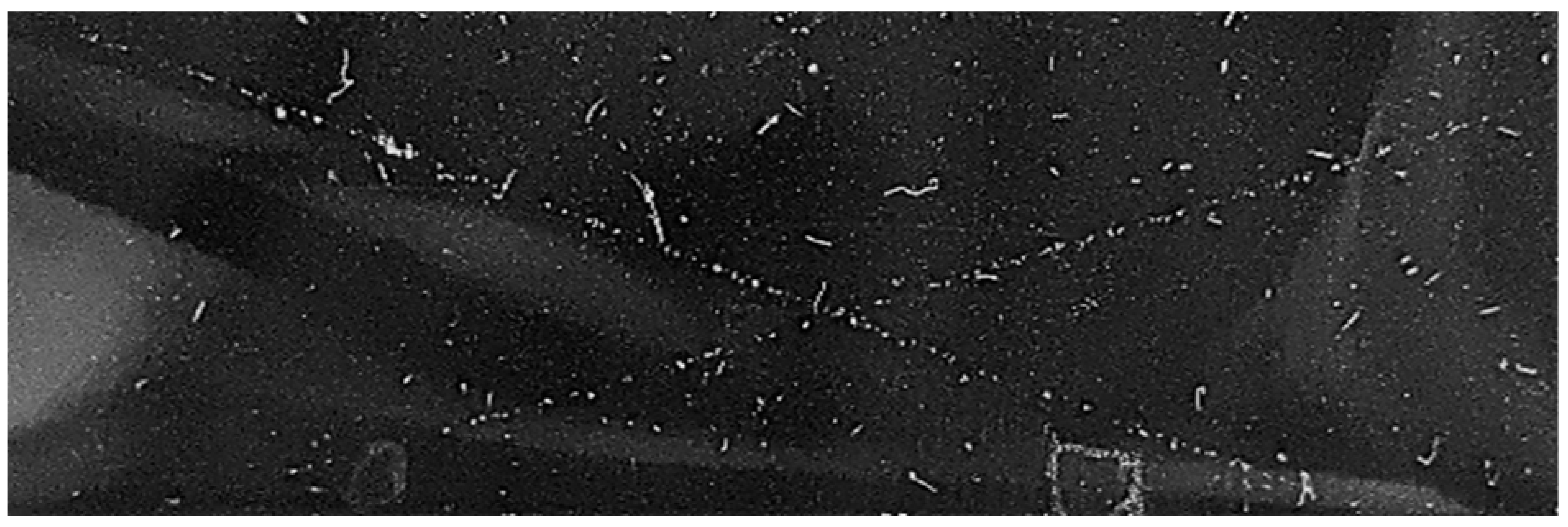 Nanomaterials 13 01699 i007 Nanomaterials 13 01699 i007