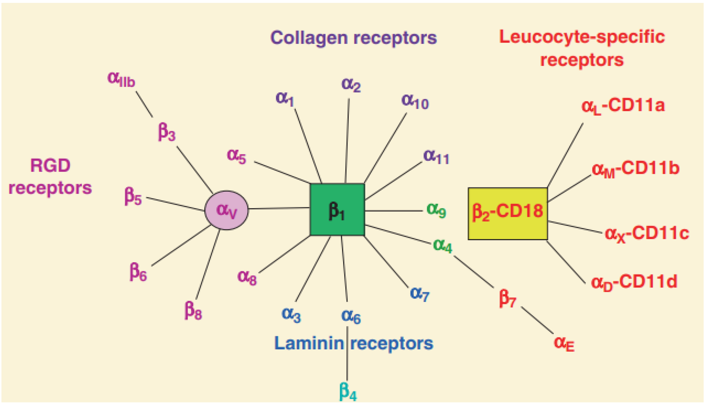 Nanomaterials 13 01721 g001