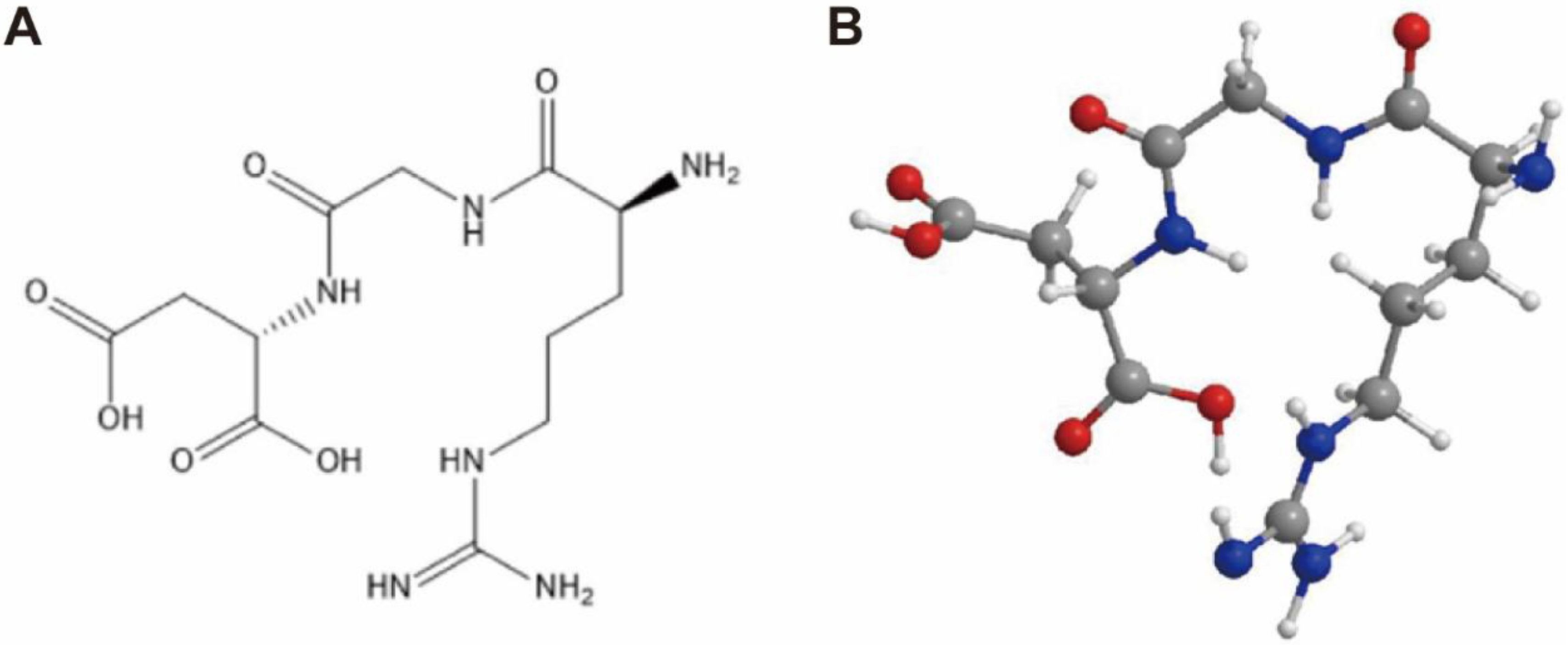 Nanomaterials 13 01721 g003