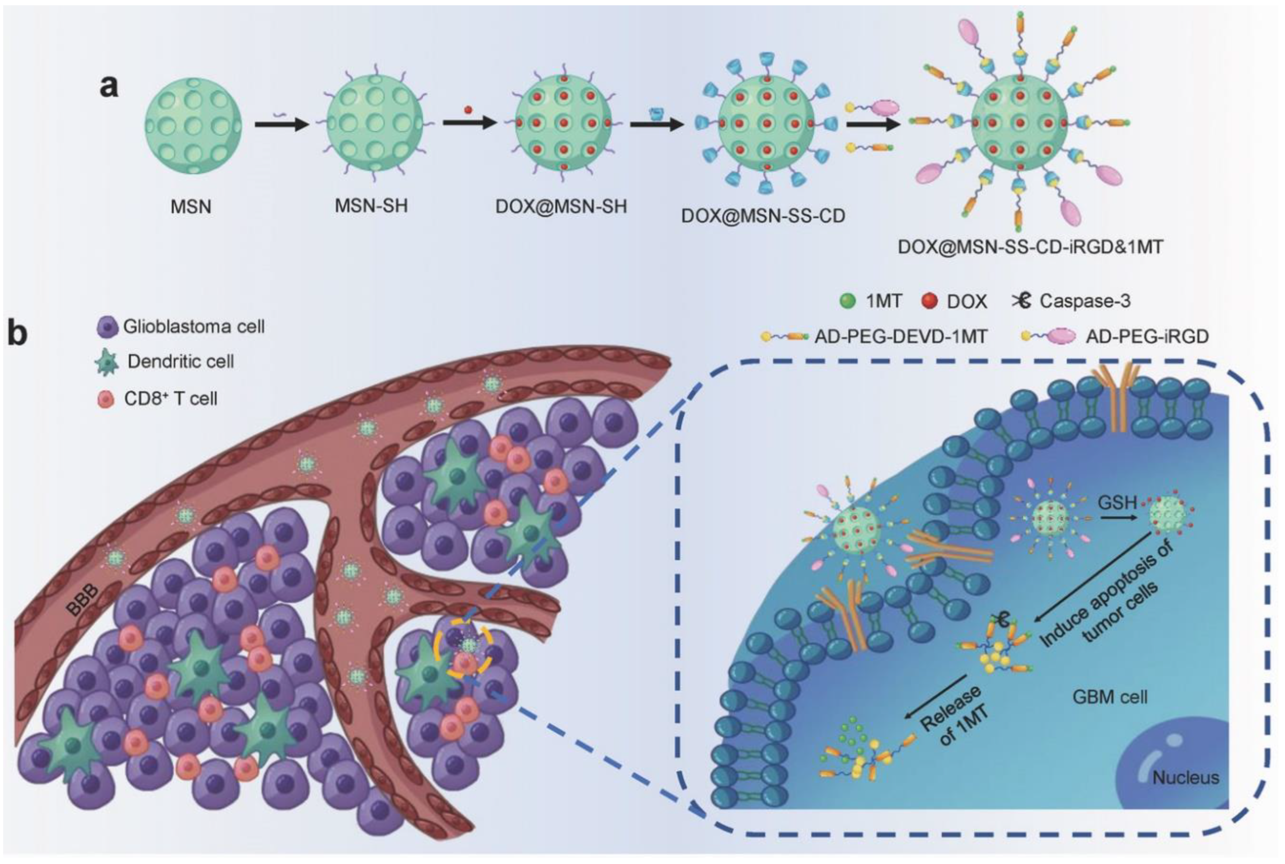 Nanomaterials 13 01721 g006