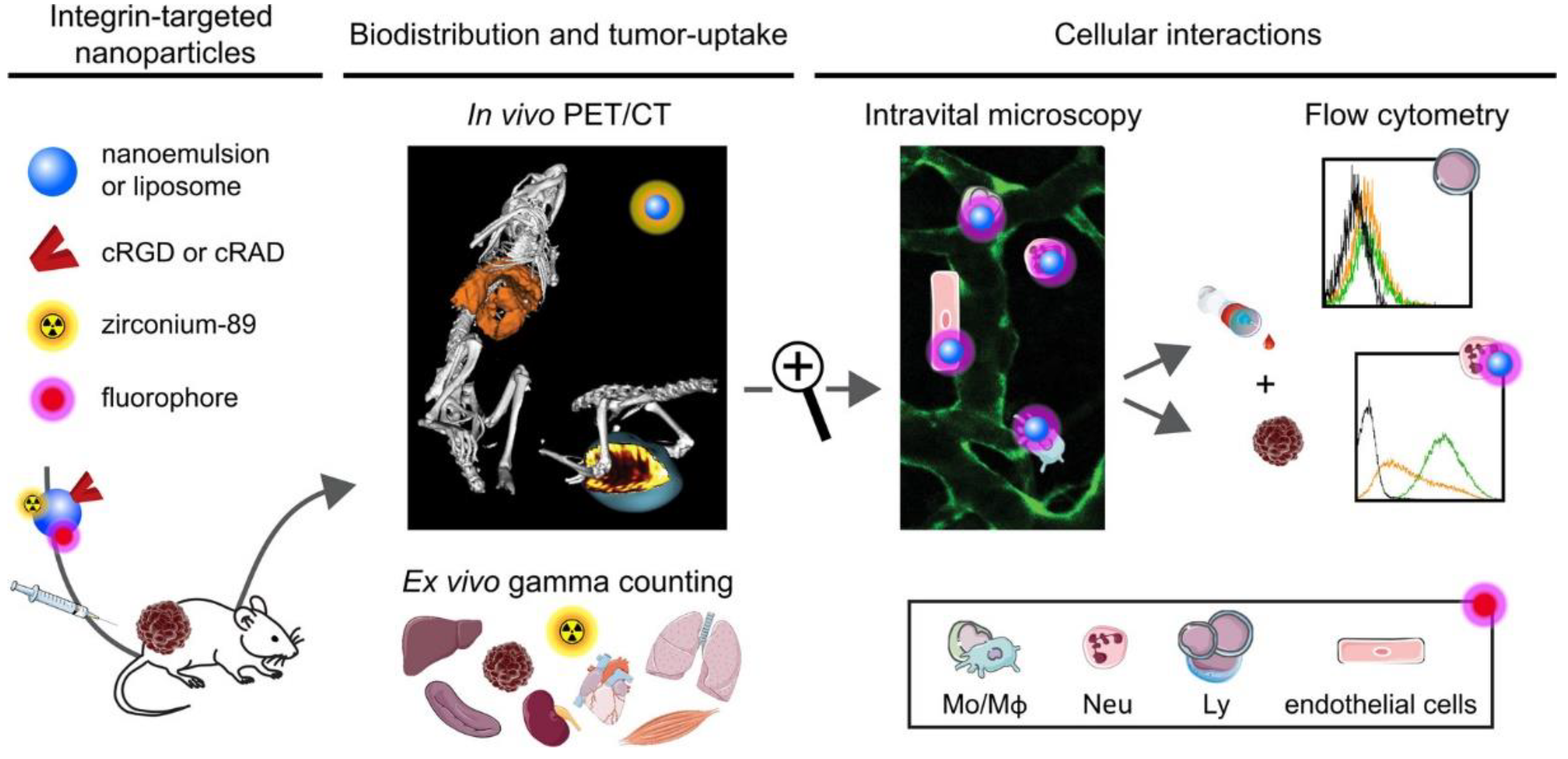 Nanomaterials 13 01721 g009