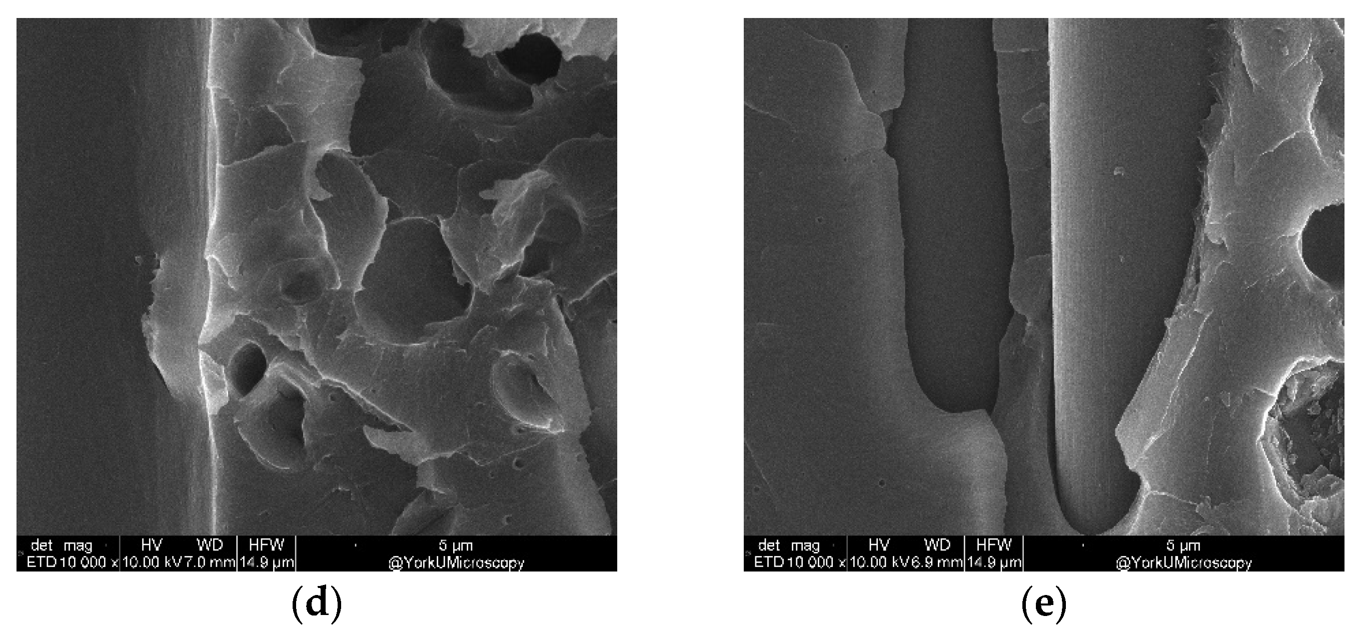 Nanomaterials 13 01729 g017b