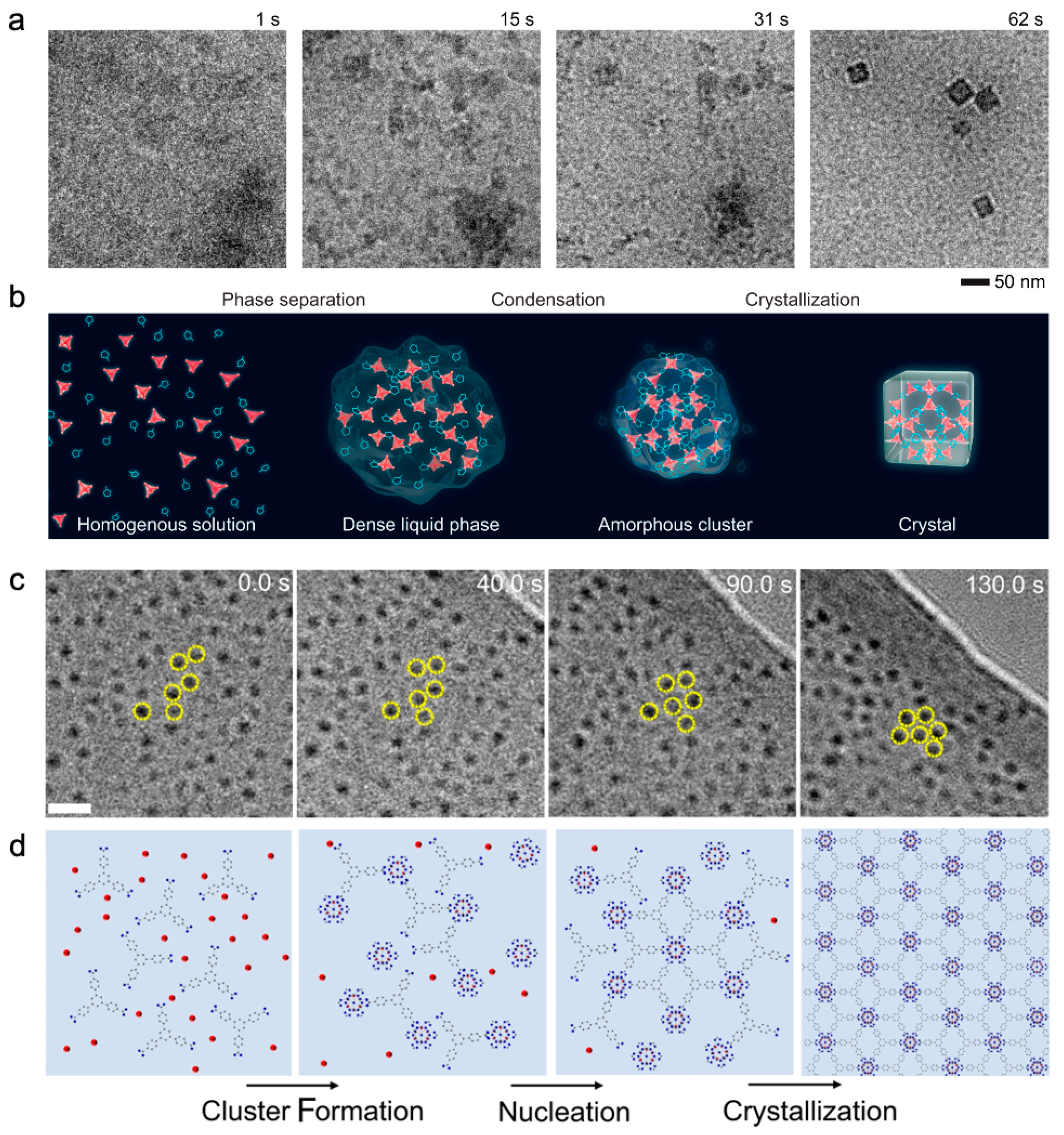 Nanomaterials 13 01742 g008