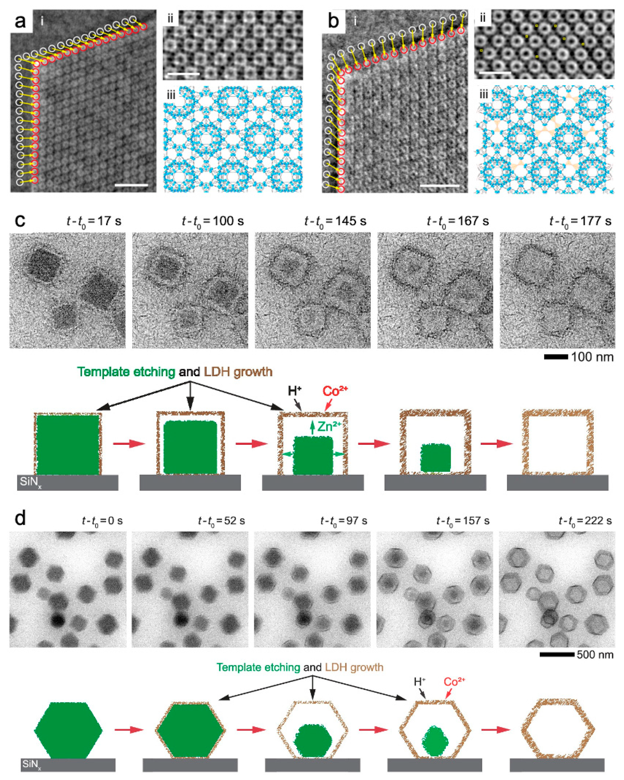 Nanomaterials 13 01742 g009