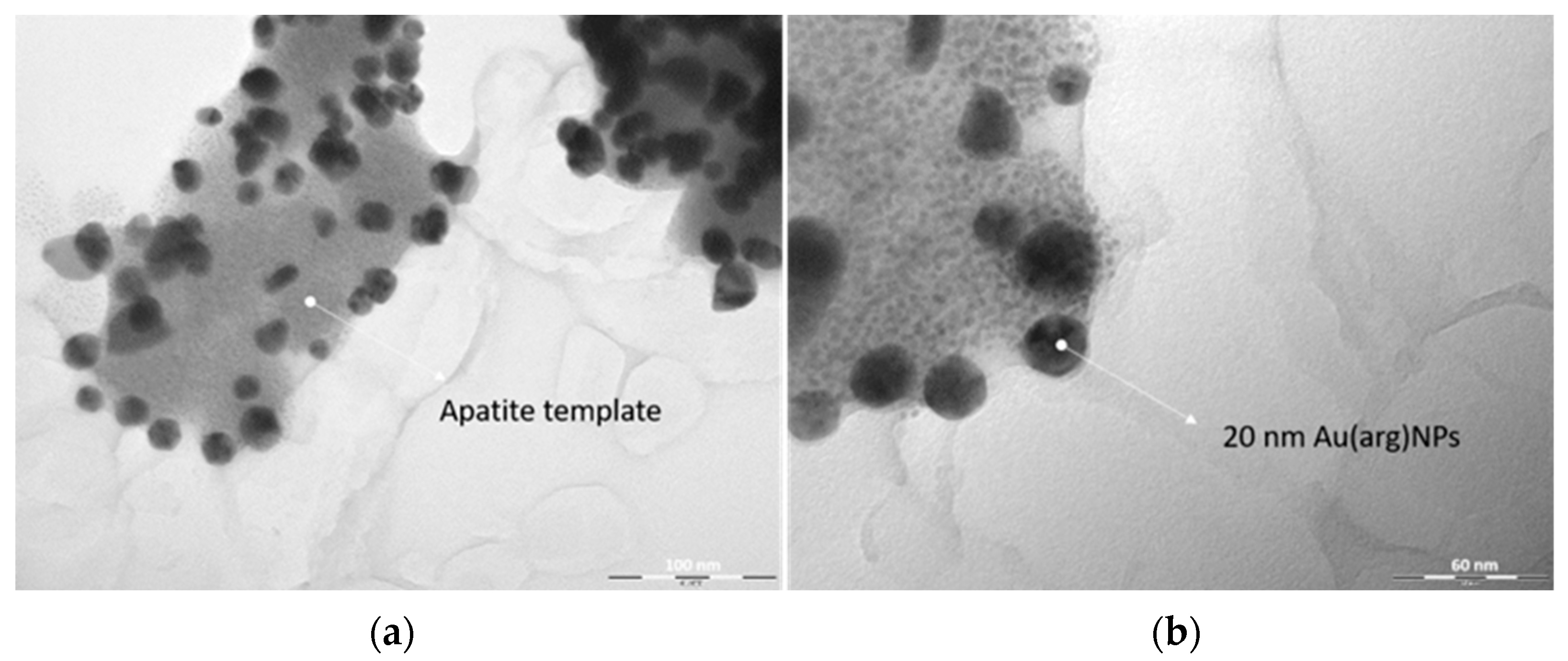 Nanomaterials 13 01752 g003