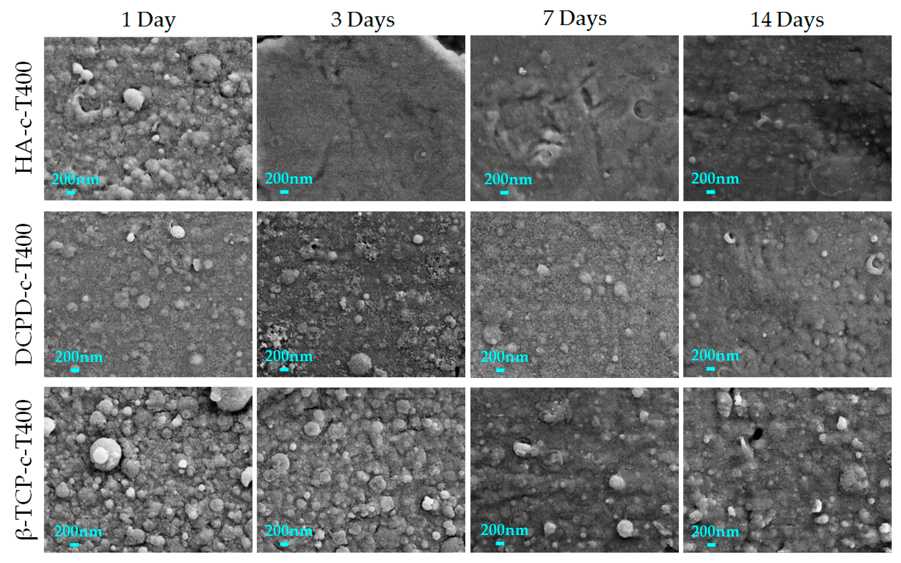 Nanomaterials 13 01758 g008