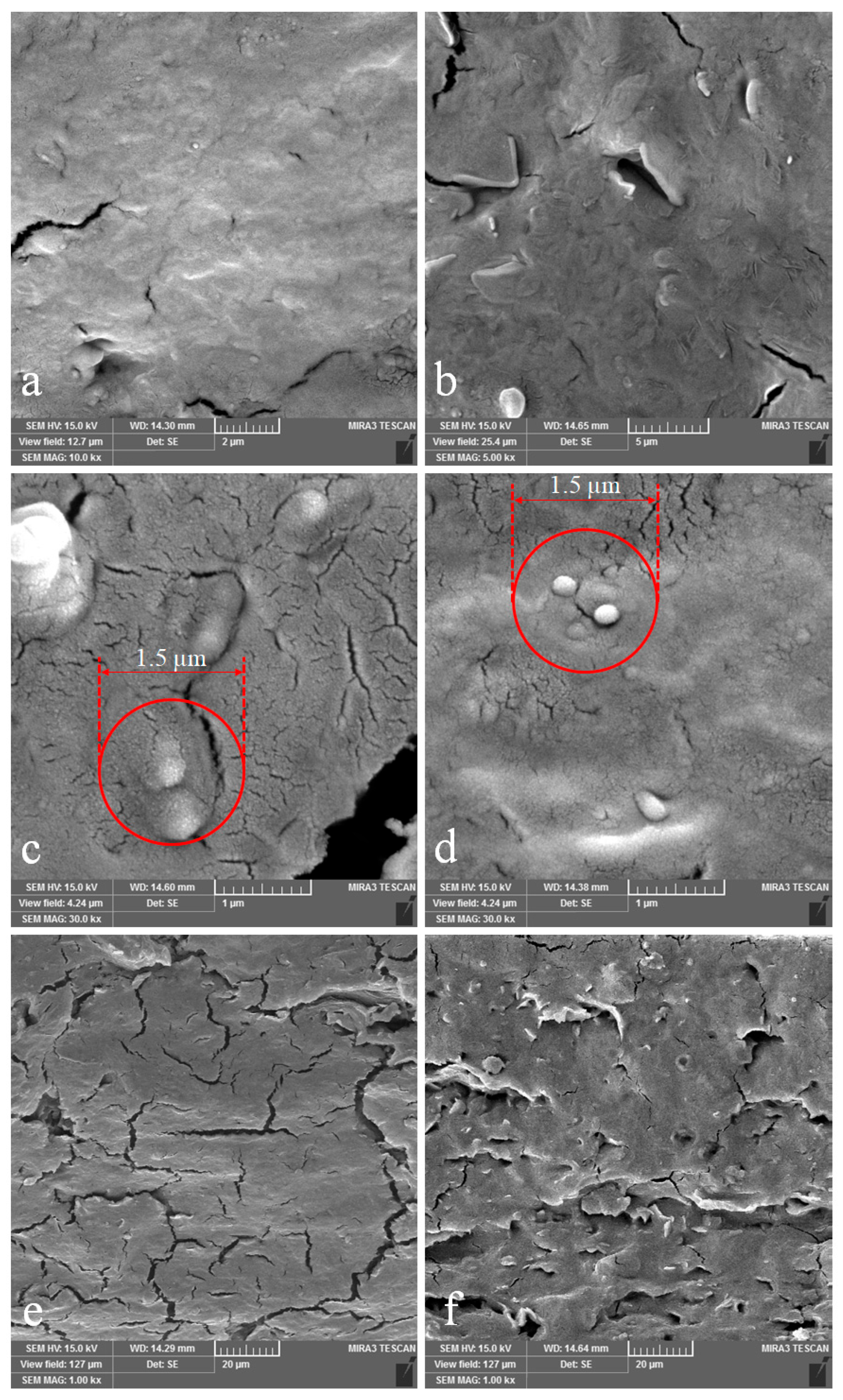 Nanomaterials 13 01769 g004 Nanomaterials 13 01769 g004