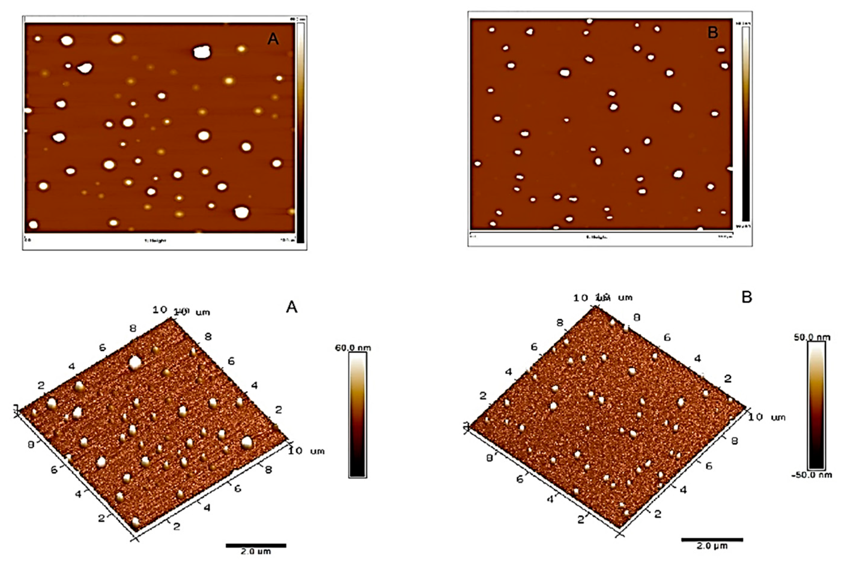 Nanomaterials 13 01800 g001a Nanomaterials 13 01800 g001a