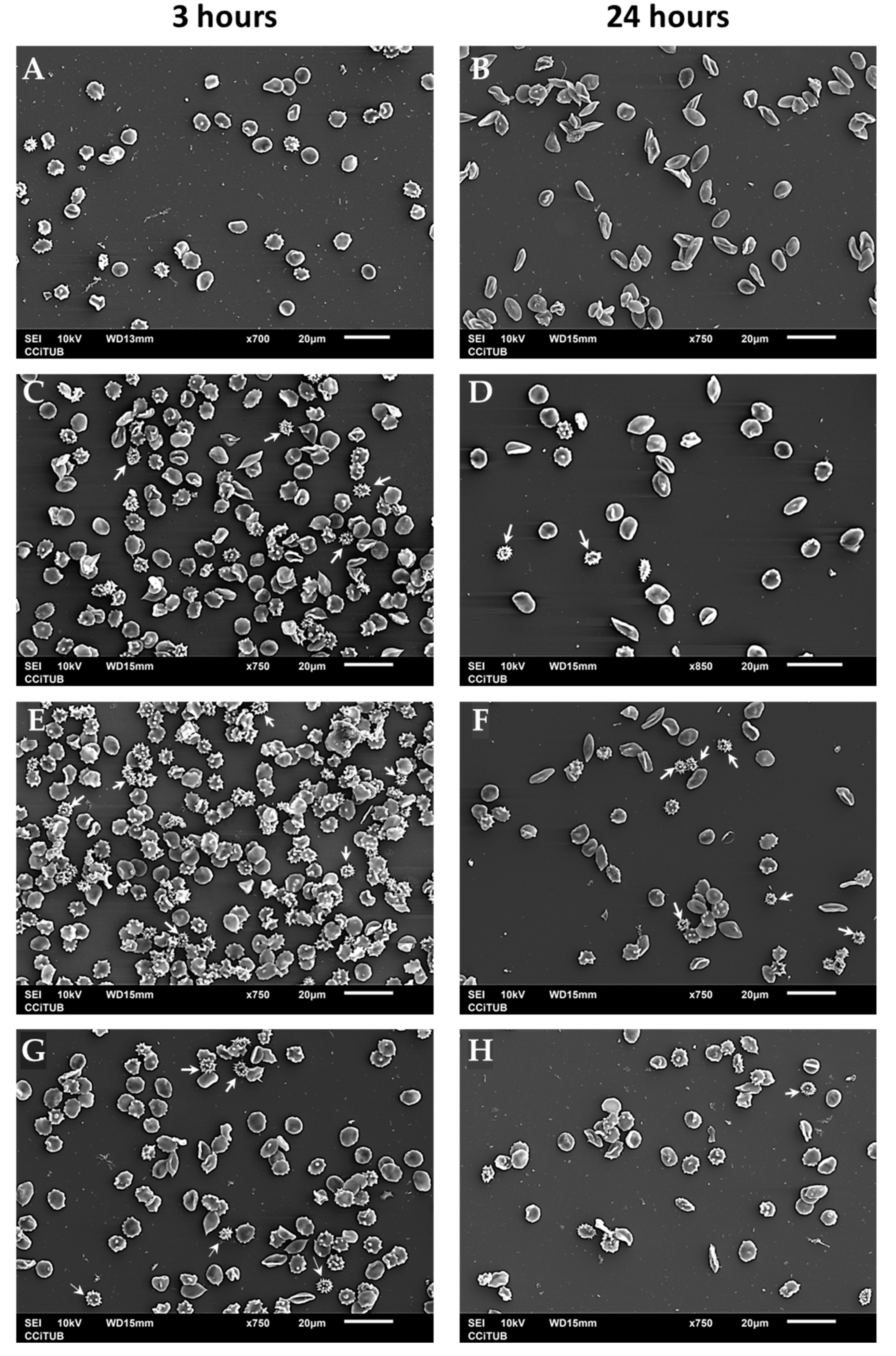 Nanomaterials 13 01800 g009 Nanomaterials 13 01800 g009