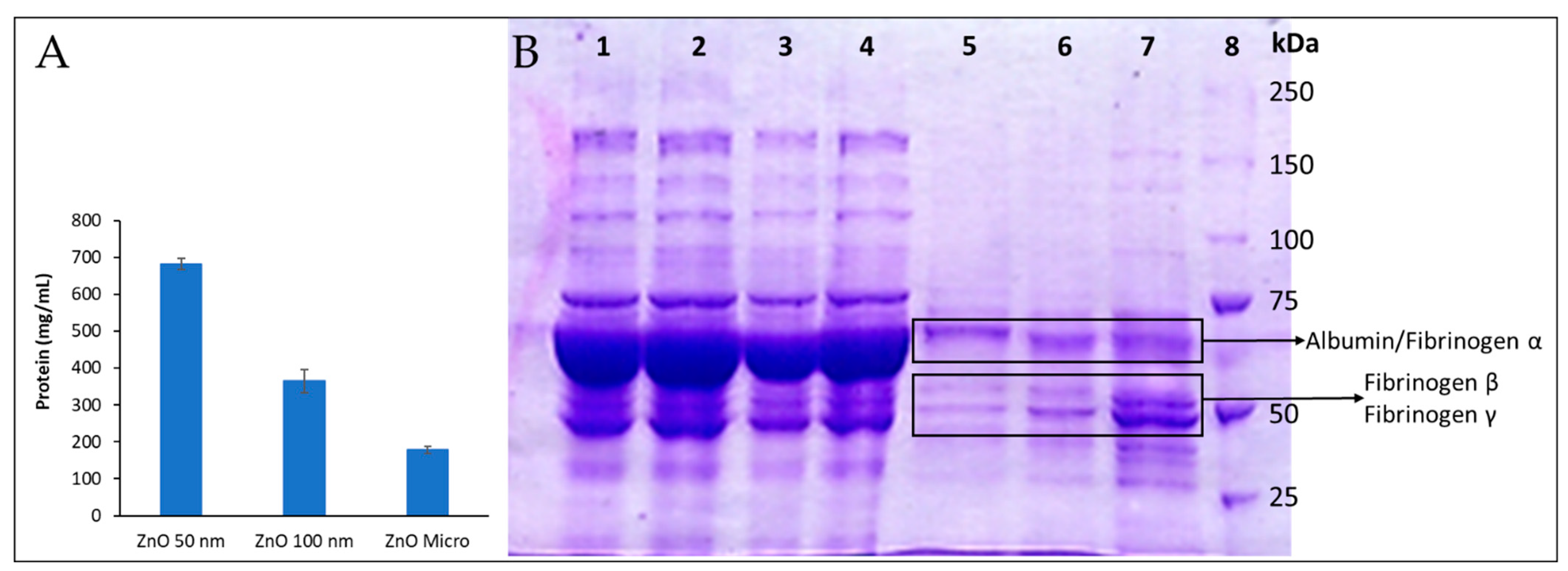 Nanomaterials 13 01800 g011 Nanomaterials 13 01800 g011