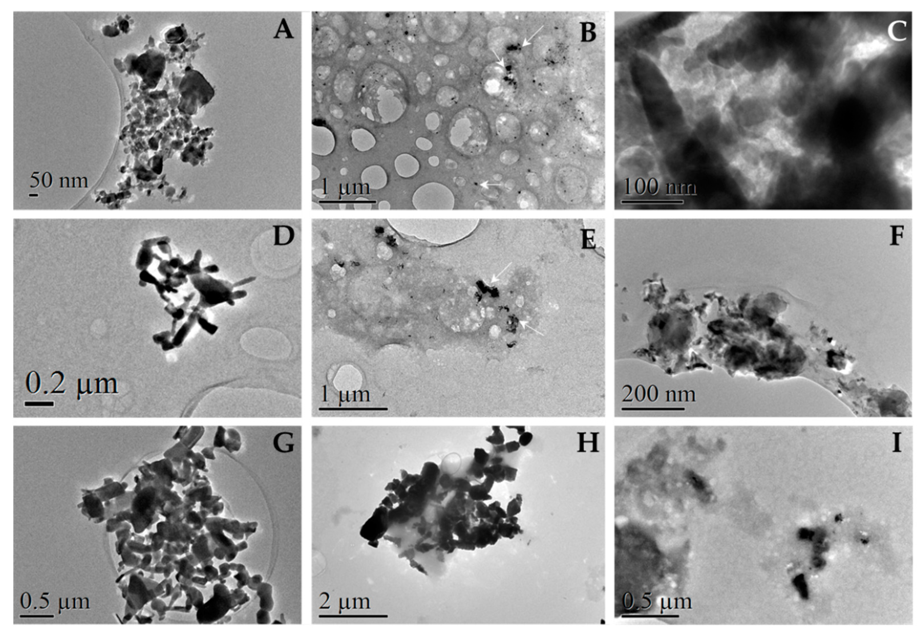 Nanomaterials 13 01800 g012 Nanomaterials 13 01800 g012