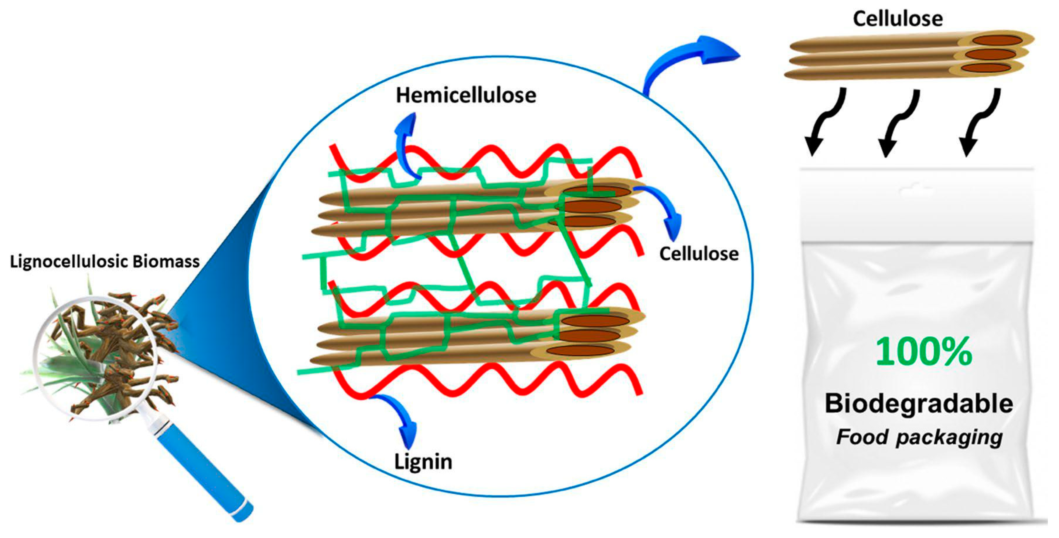 Nanomaterials 13 01803 g011 Nanomaterials 13 01803 g011