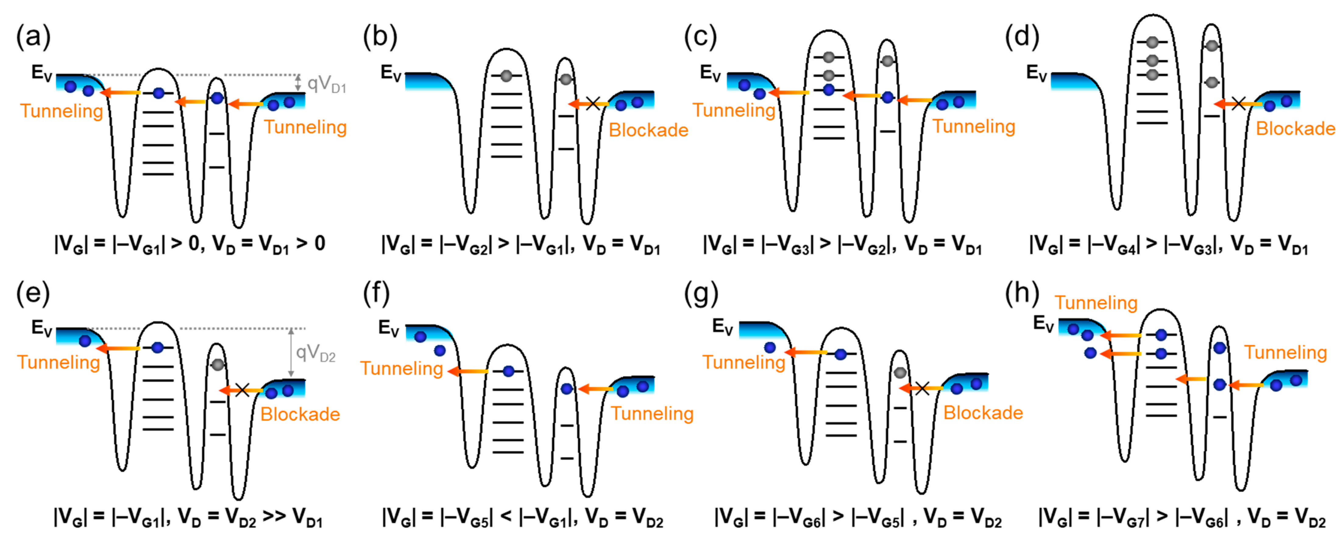 Nanomaterials 13 01809 g005