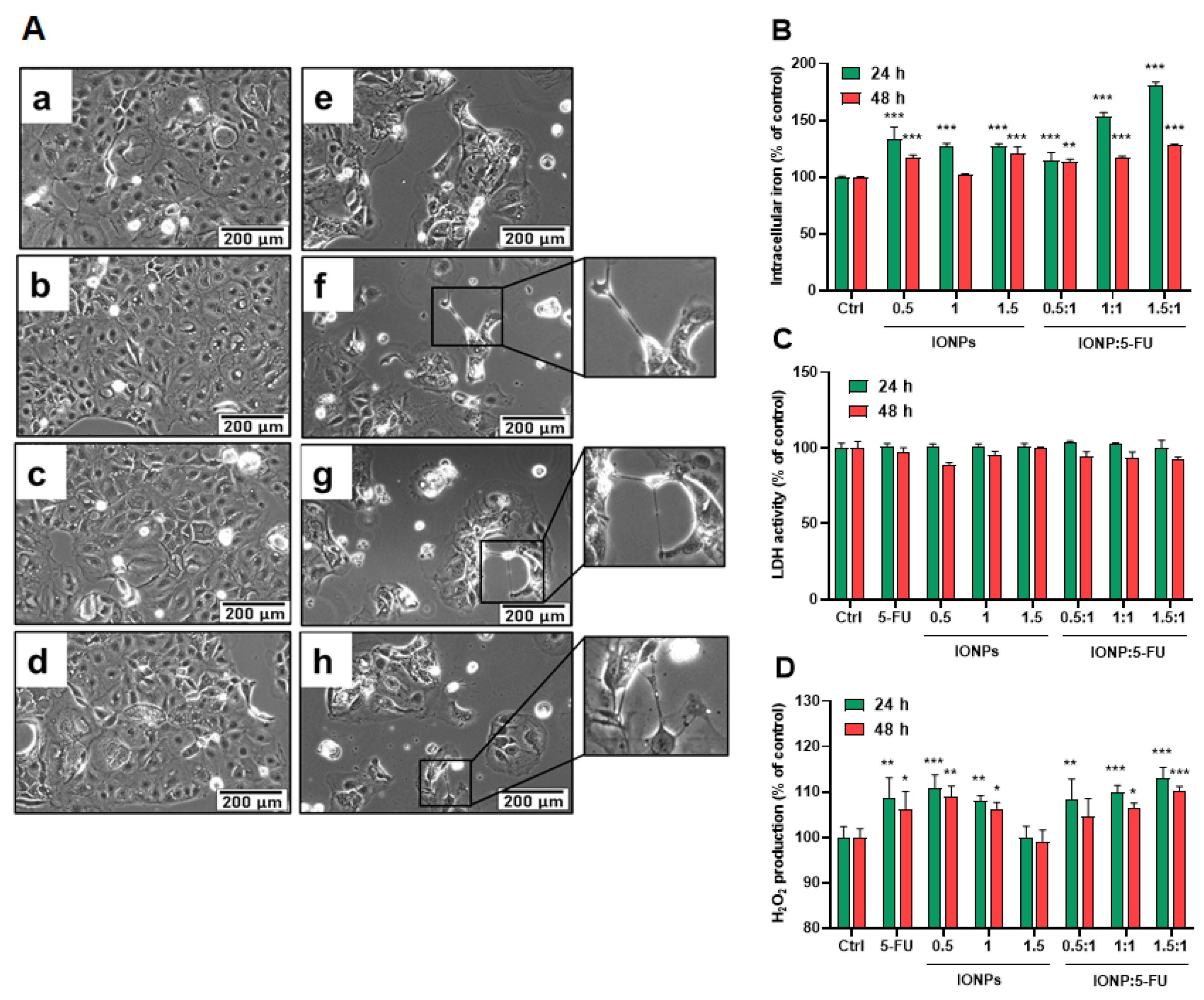 Nanomaterials 13 01811 g005 Nanomaterials 13 01811 g005
