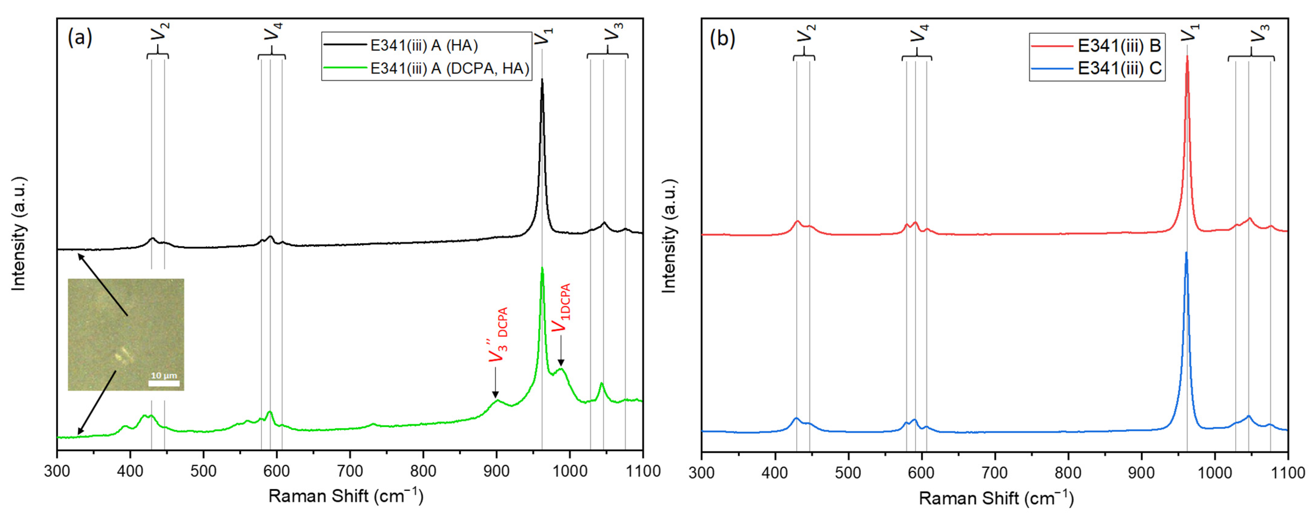 Nanomaterials 13 01823 g005