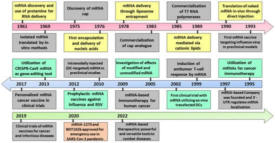 Nanomaterials | Free Full-Text | An Overview of the Use of ...