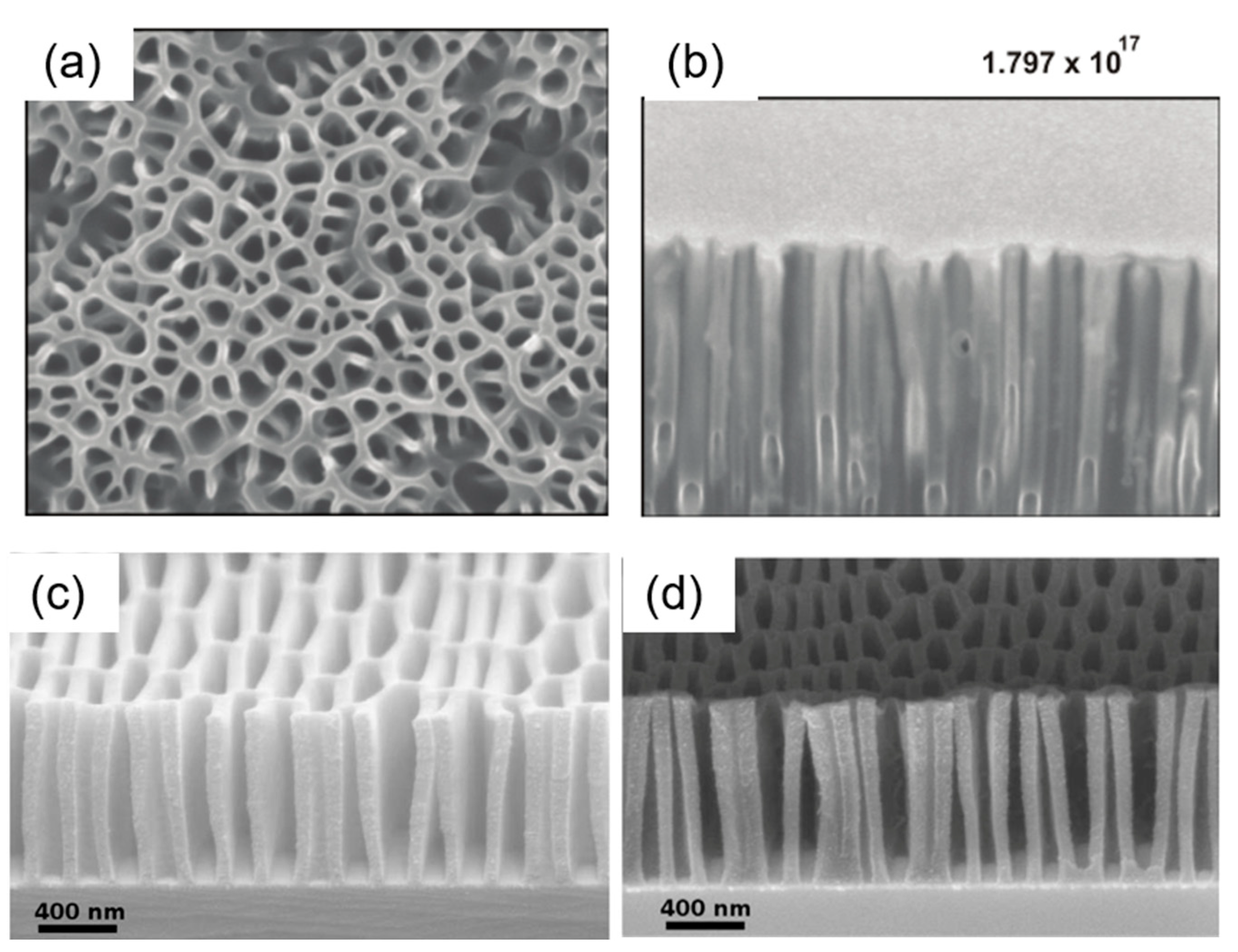 Nanomaterials 13 01839 g015 Nanomaterials 13 01839 g015