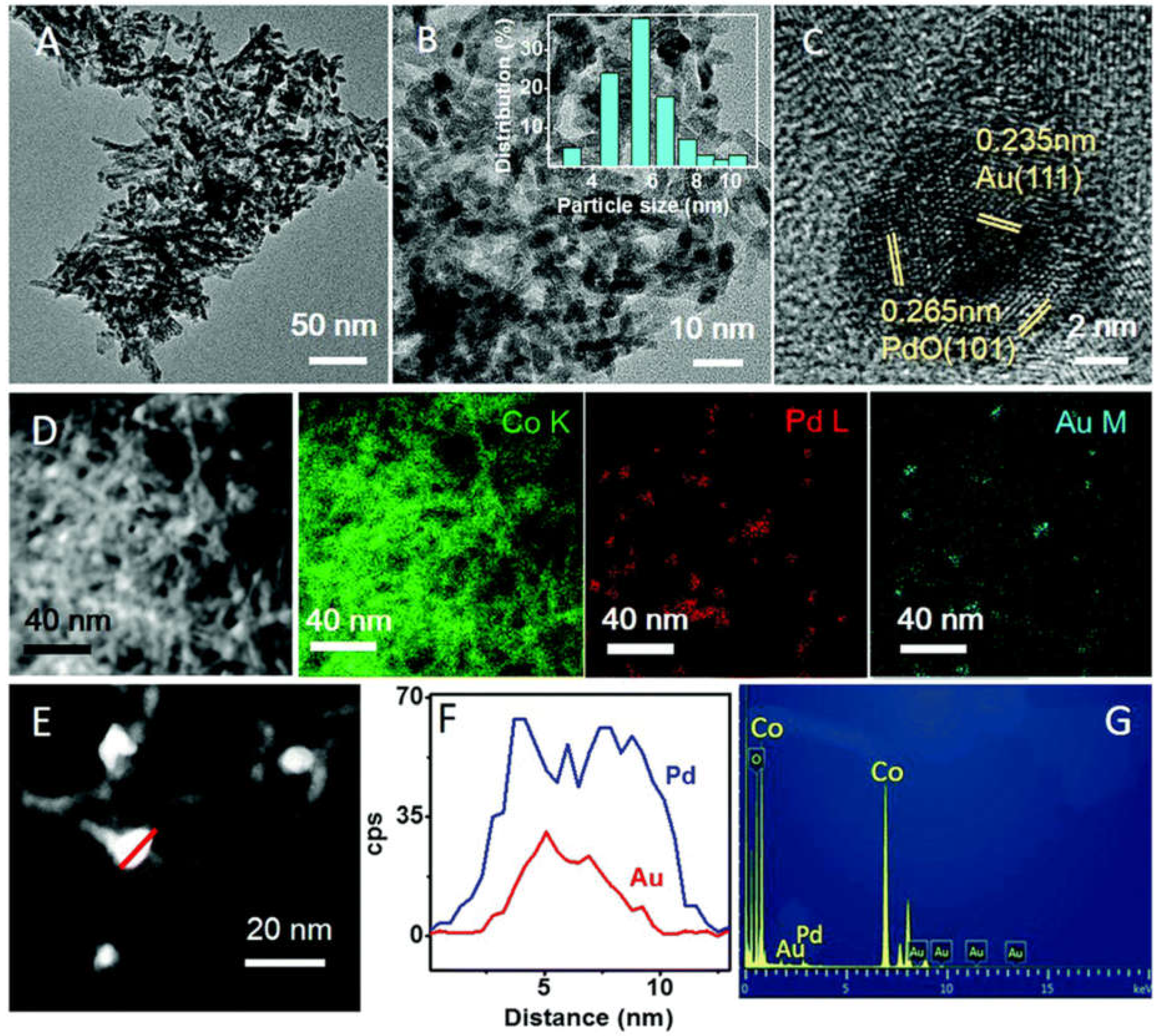 Nanomaterials 13 01917 g008