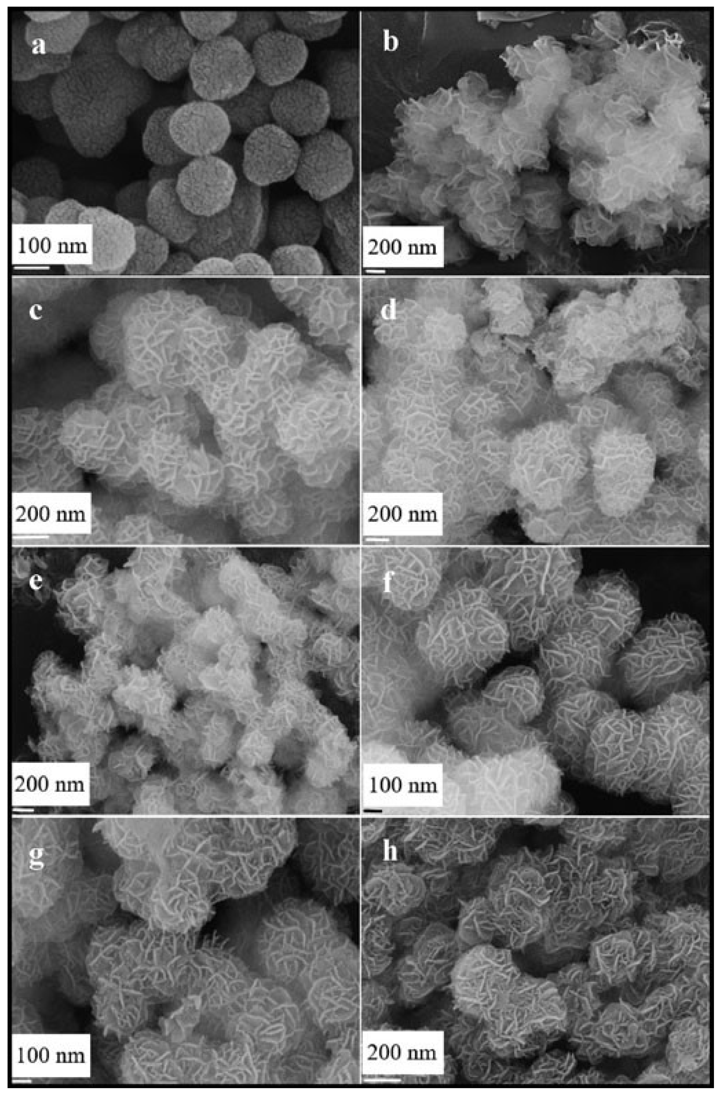 Nanomaterials 13 01917 g014