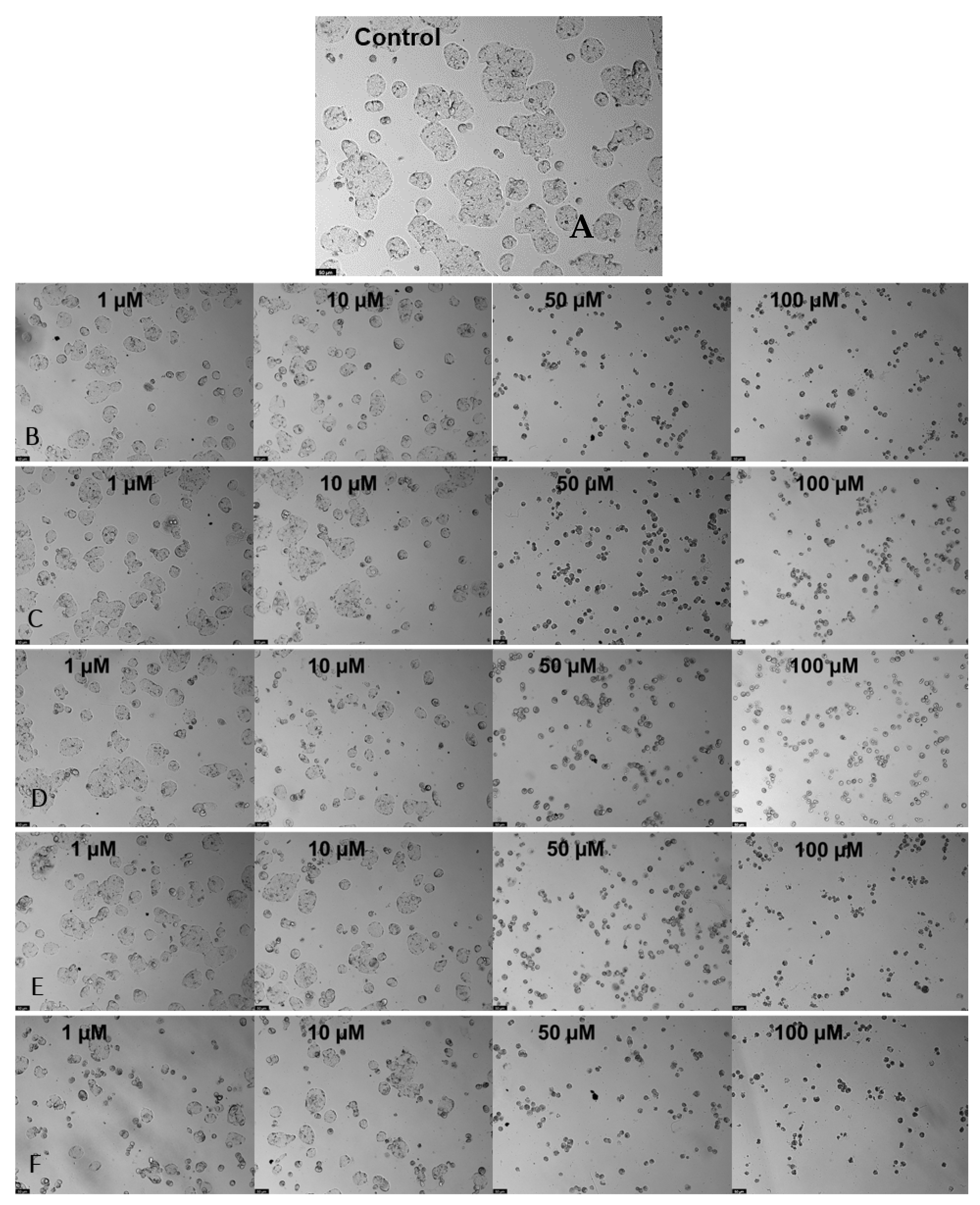 Chemotherapeutic drug–DNA hybrid nanostructures for anti-tumor therapy -  Materials Horizons (RSC Publishing) DOI:10.1039/D0MH00715C