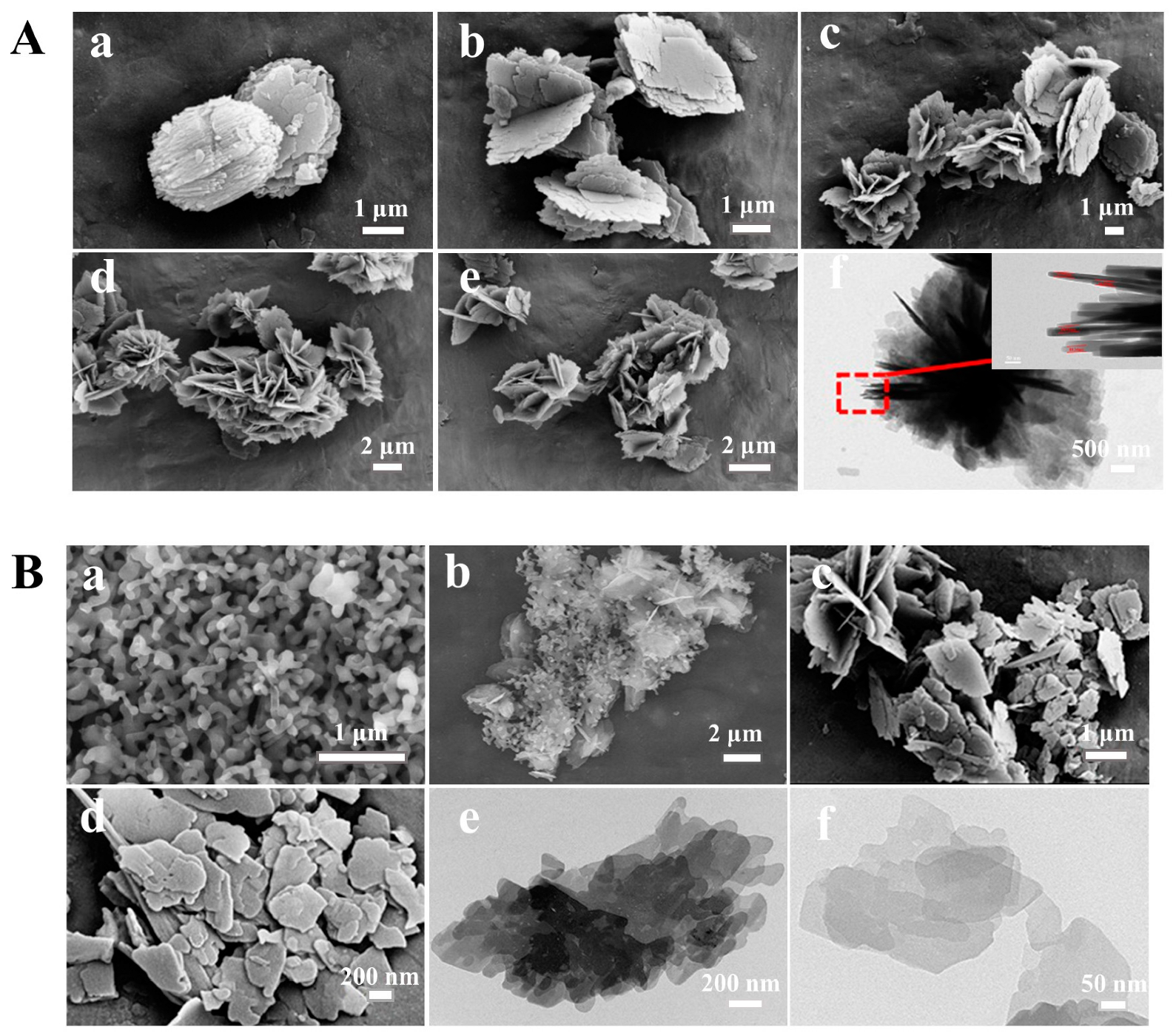 Nanomaterials 13 01942 g003