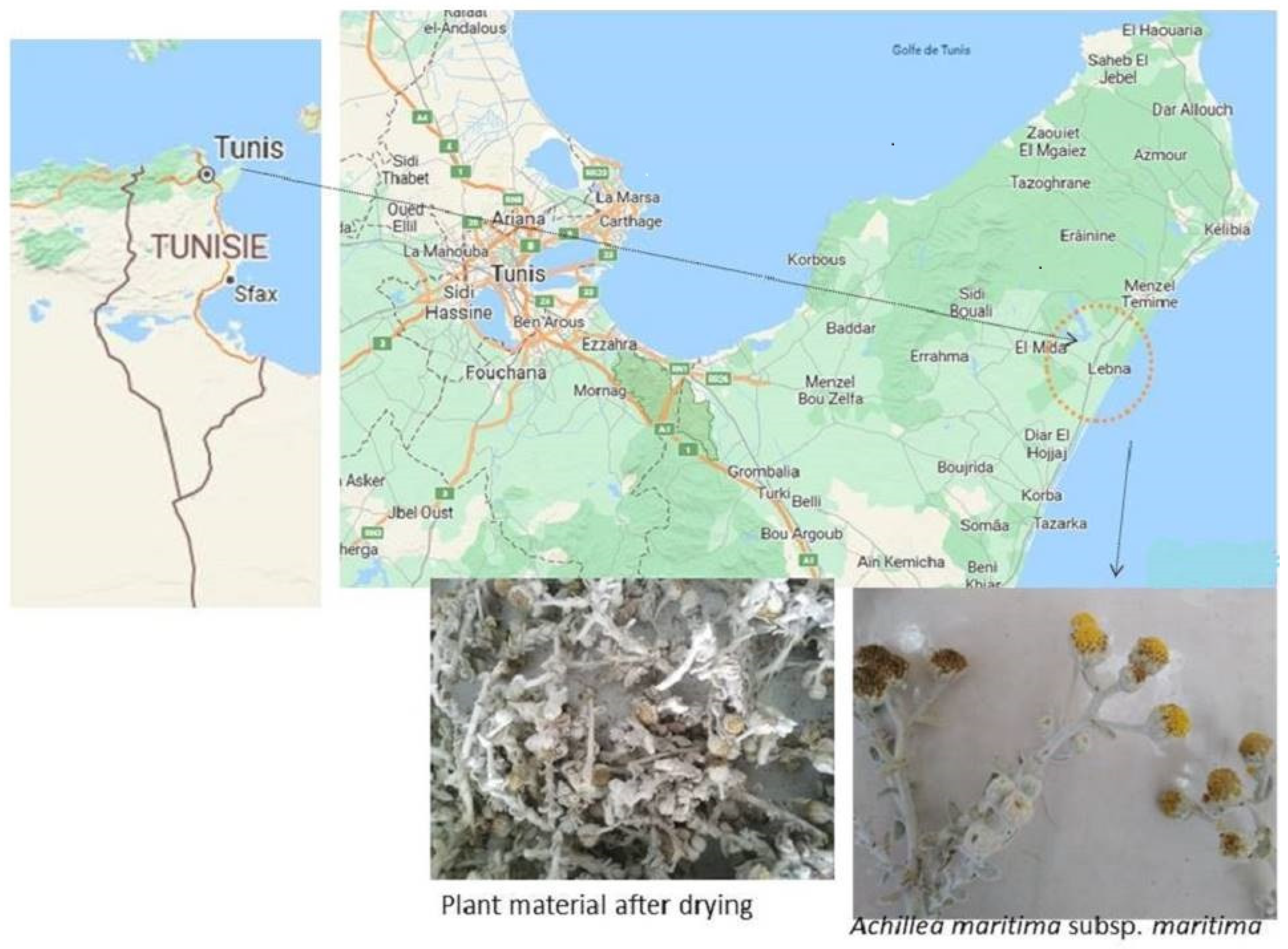 Nanomaterials 13 01964 g001