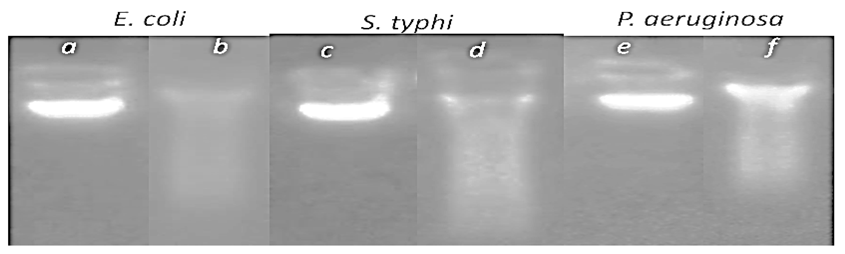 Nanomaterials 13 01964 g009