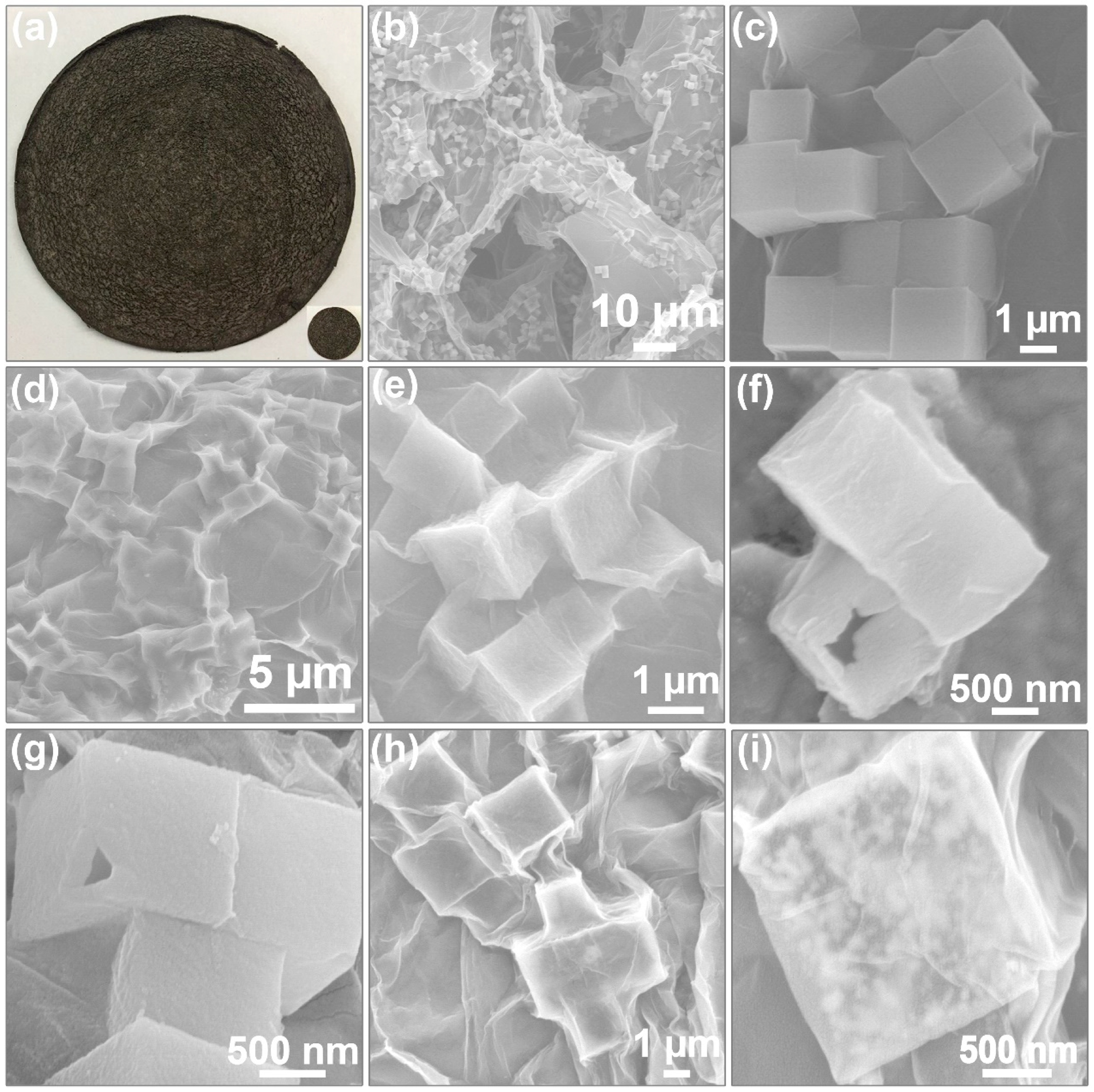 Nanomaterials | Free Full-Text | Hollow Porous CoO@Reduced Graphene Oxide  Self-Supporting Flexible Membrane for High Performance Lithium-Ion Storage