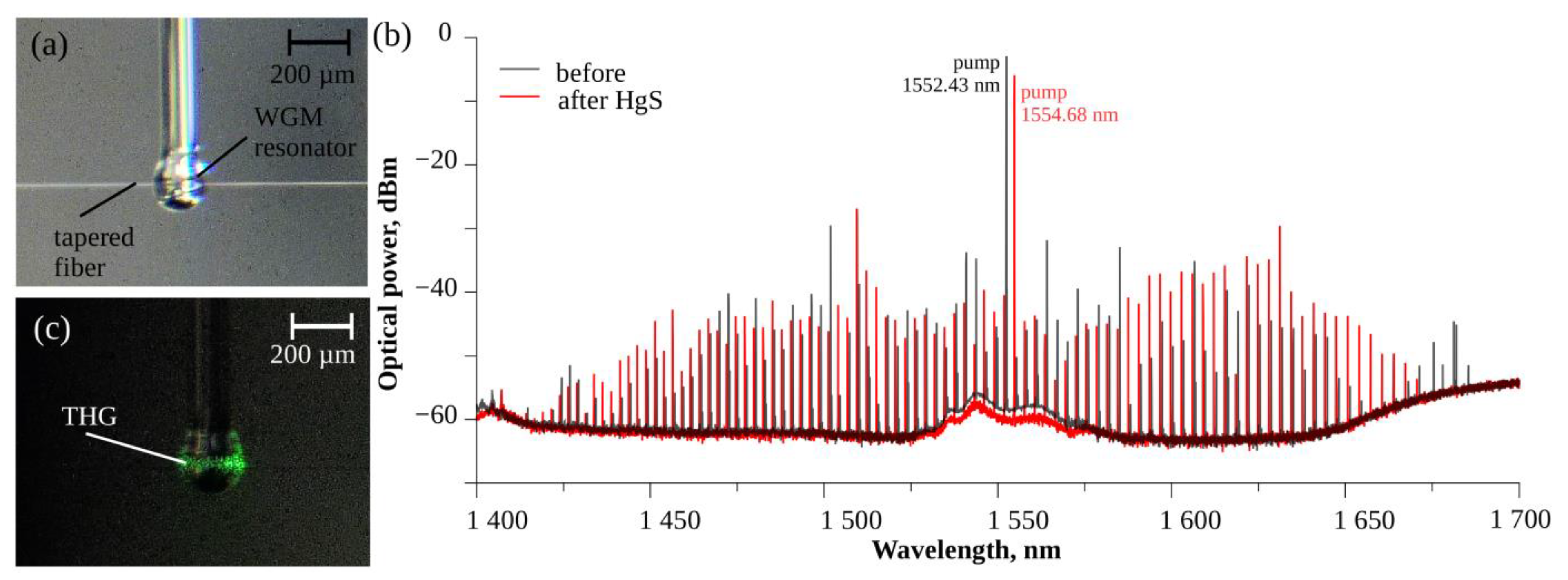 Nanomaterials 13 01997 g003