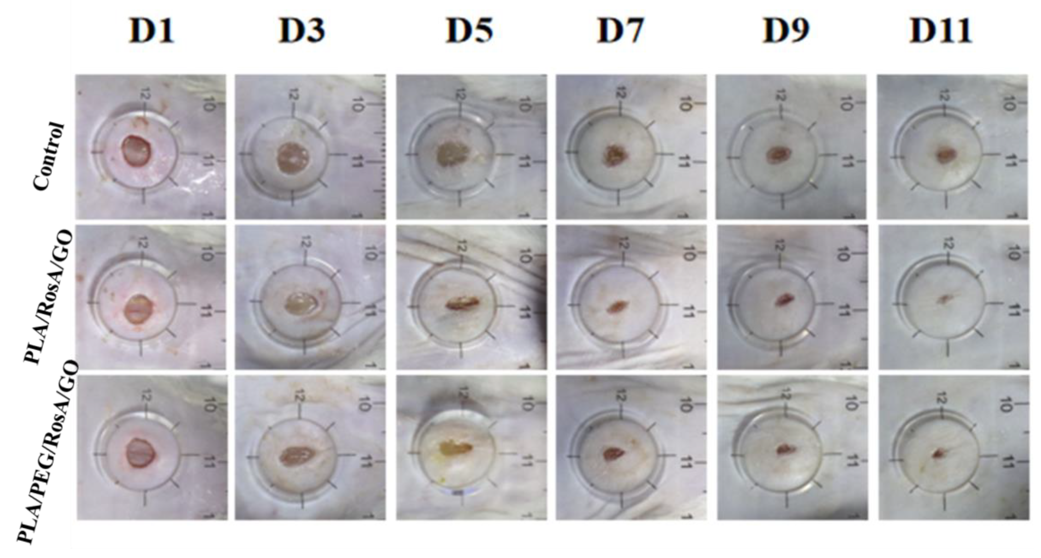 Nanomaterials 13 02000 g009