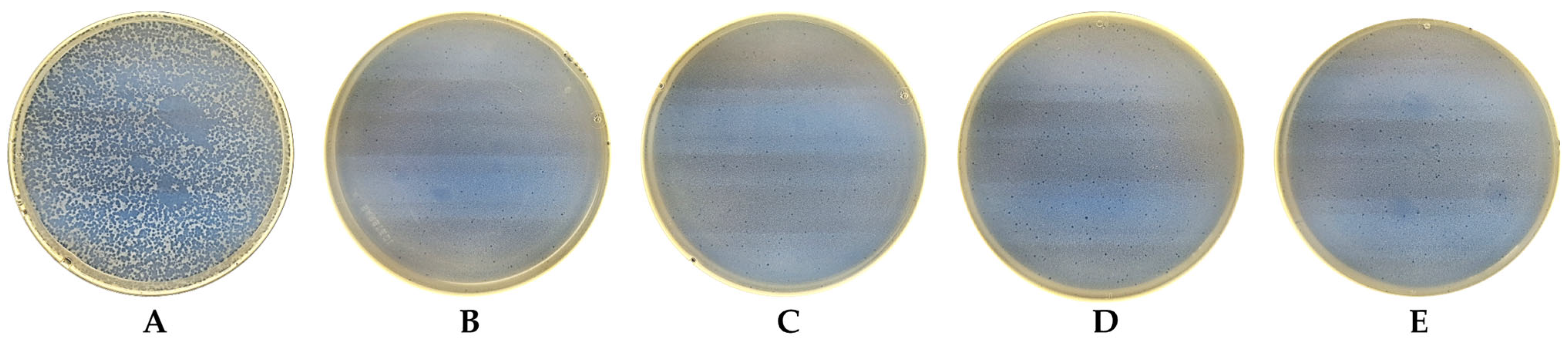 Nanomaterials 13 02032 g012