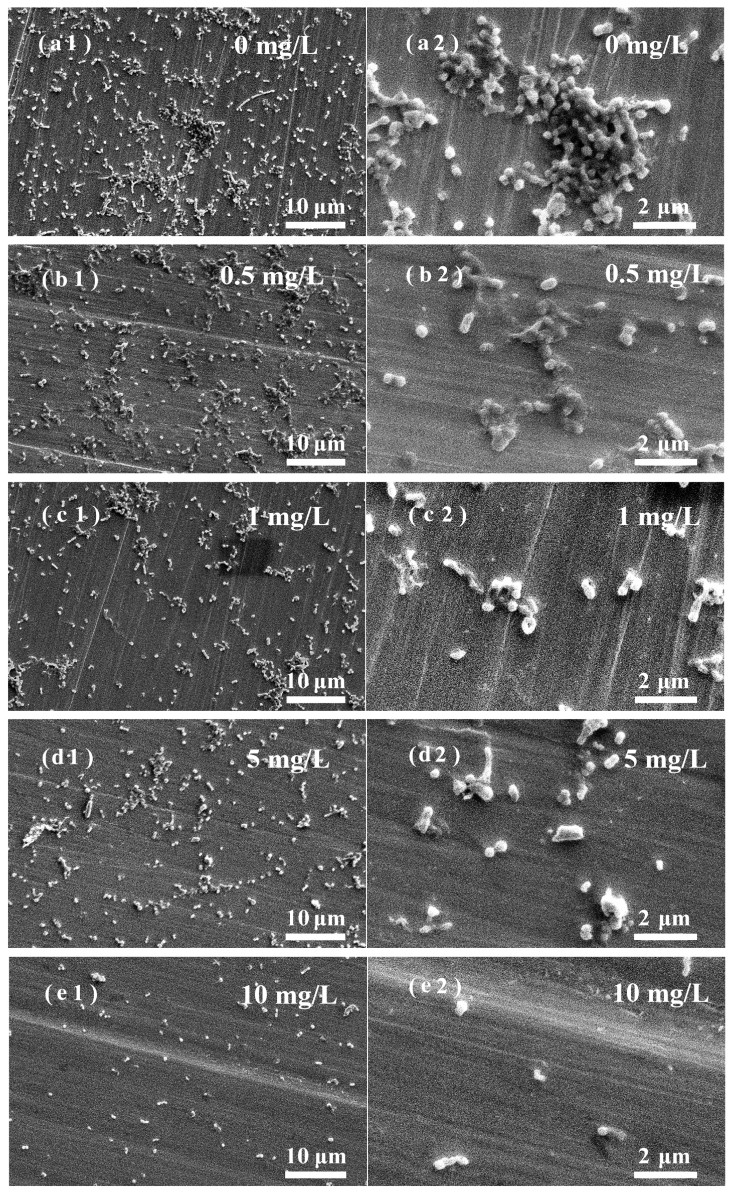 Nanomaterials 13 02033 g006