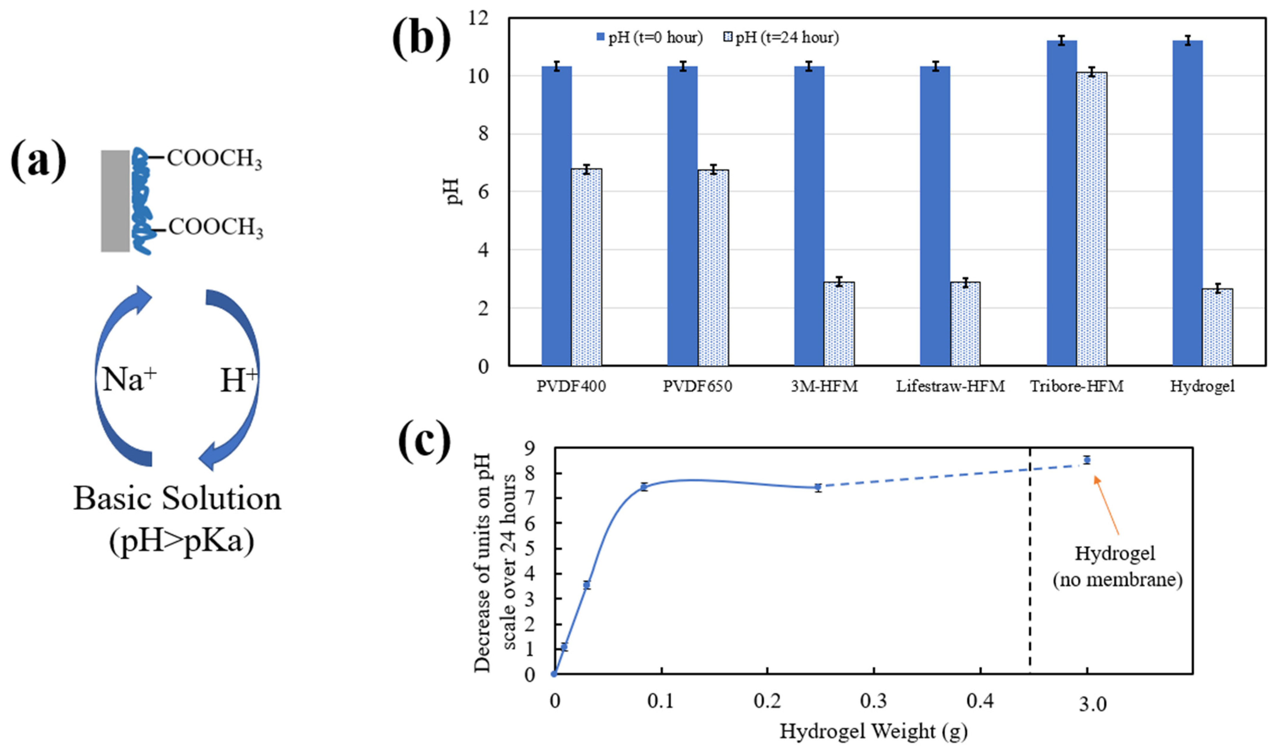 Nanomaterials 13 02041 g004